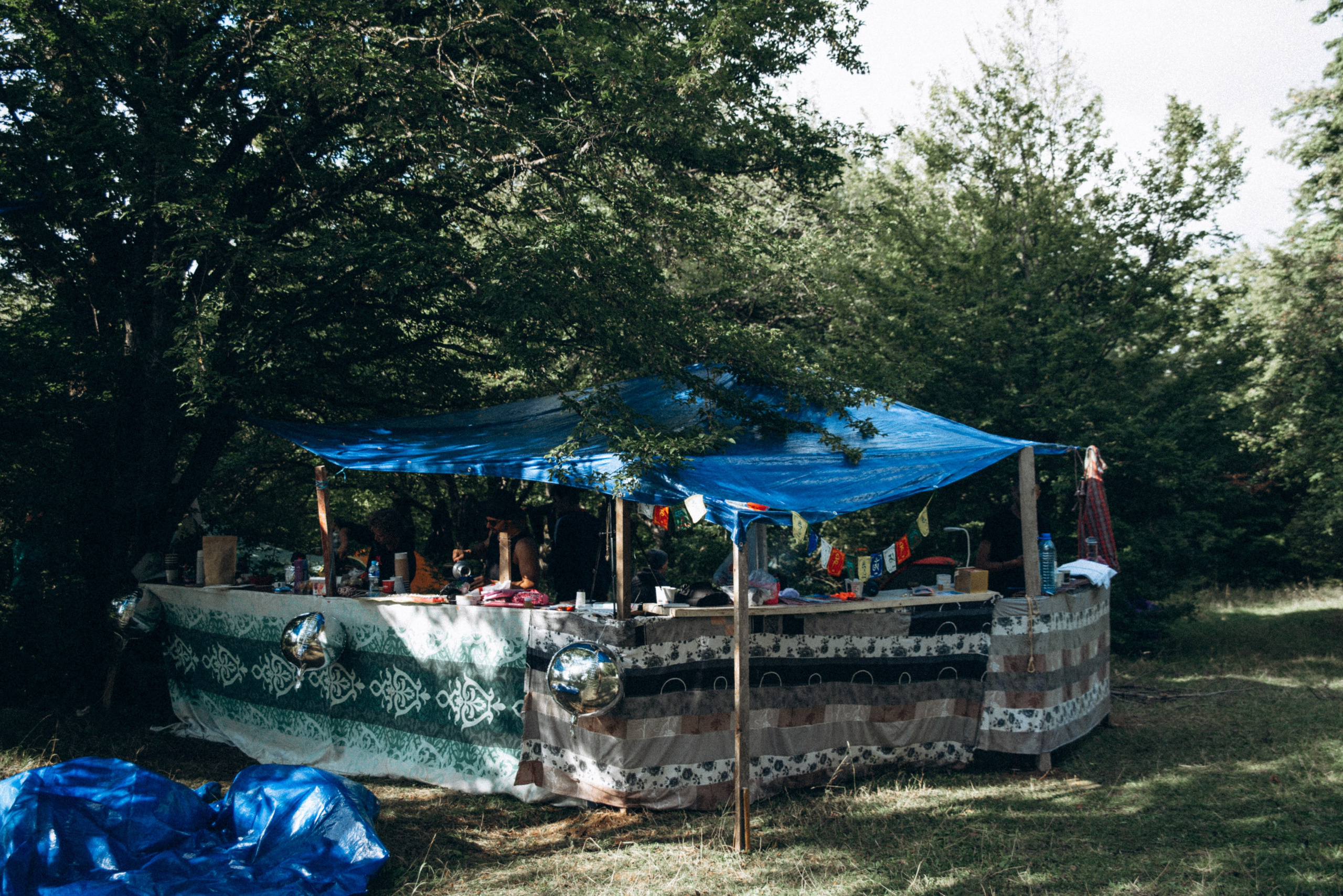 Harmoyfest 2023 Georgia 🇬🇪. Anita_photo