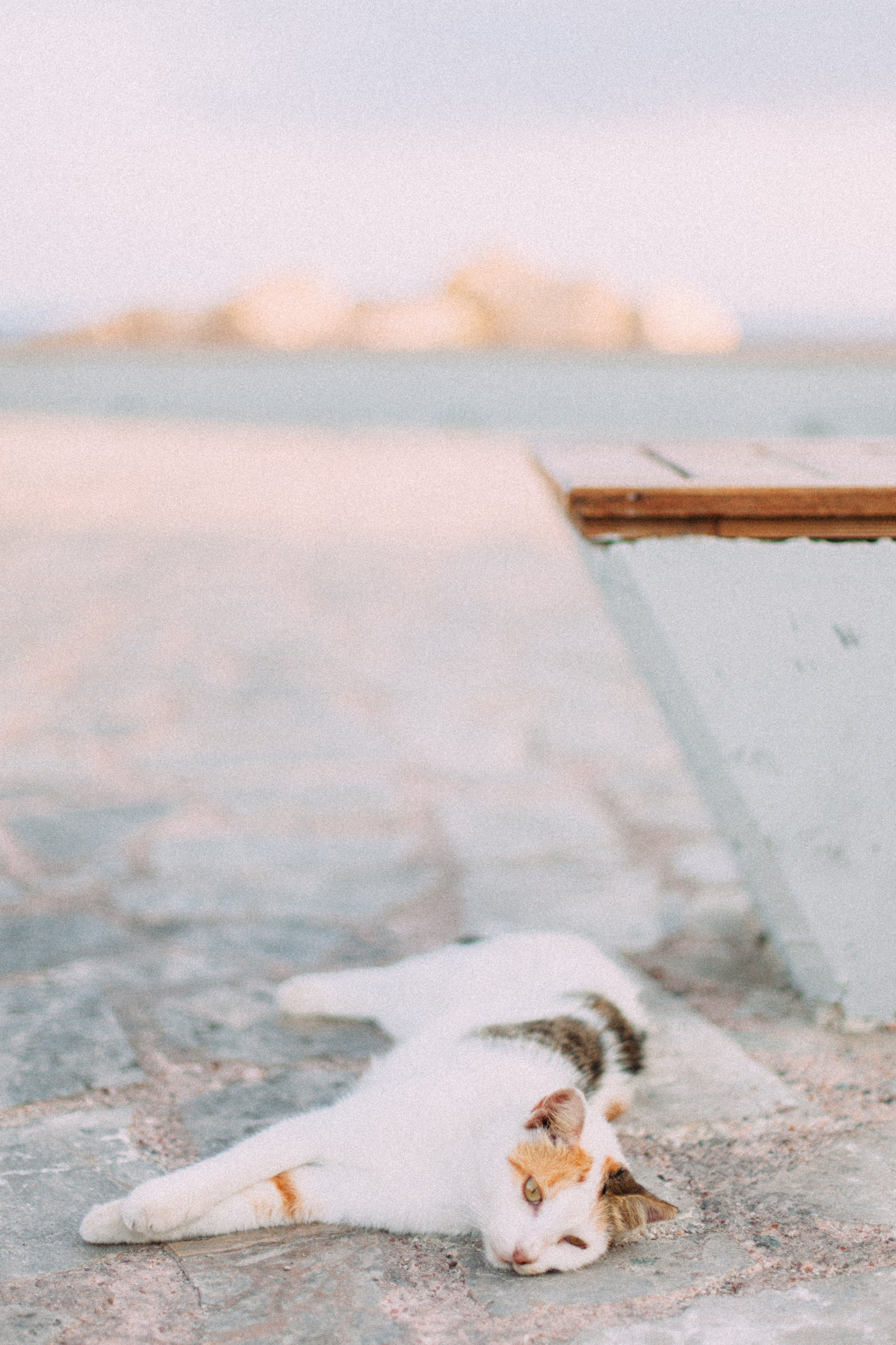 Кипр. Аня Степанова