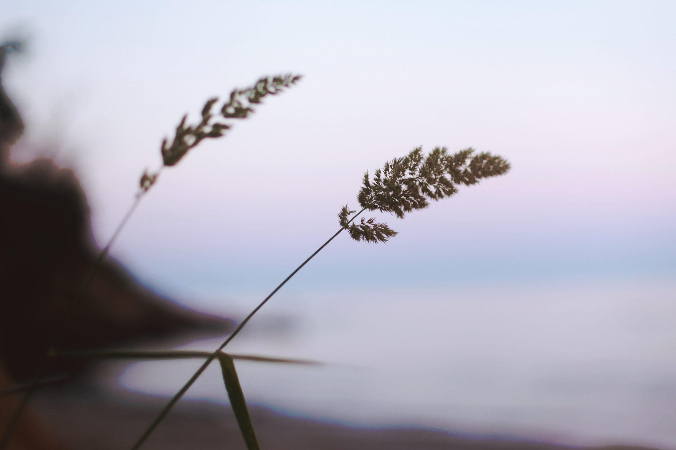 Болгария. Аня Степанова