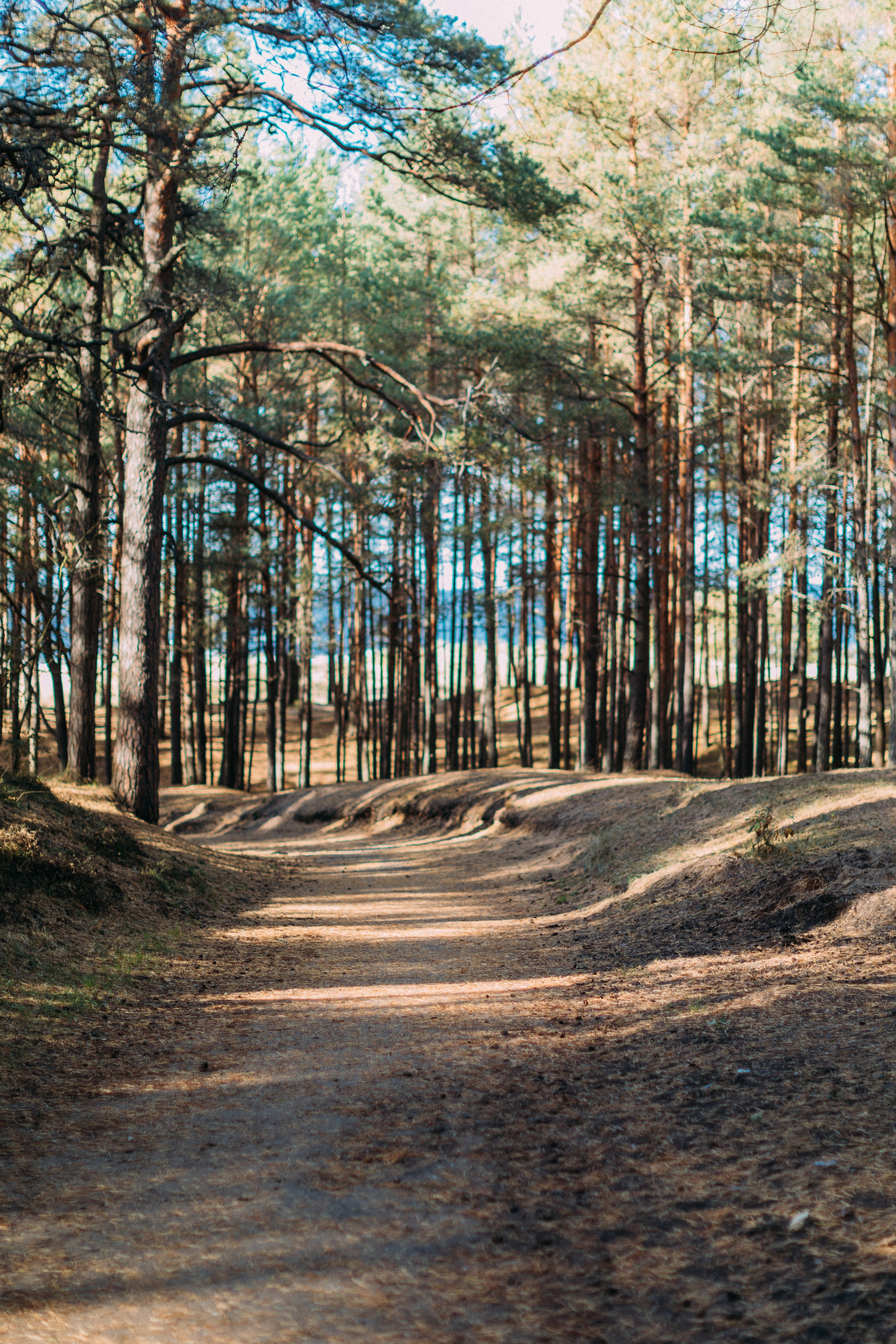 Латвия. Аня Степанова