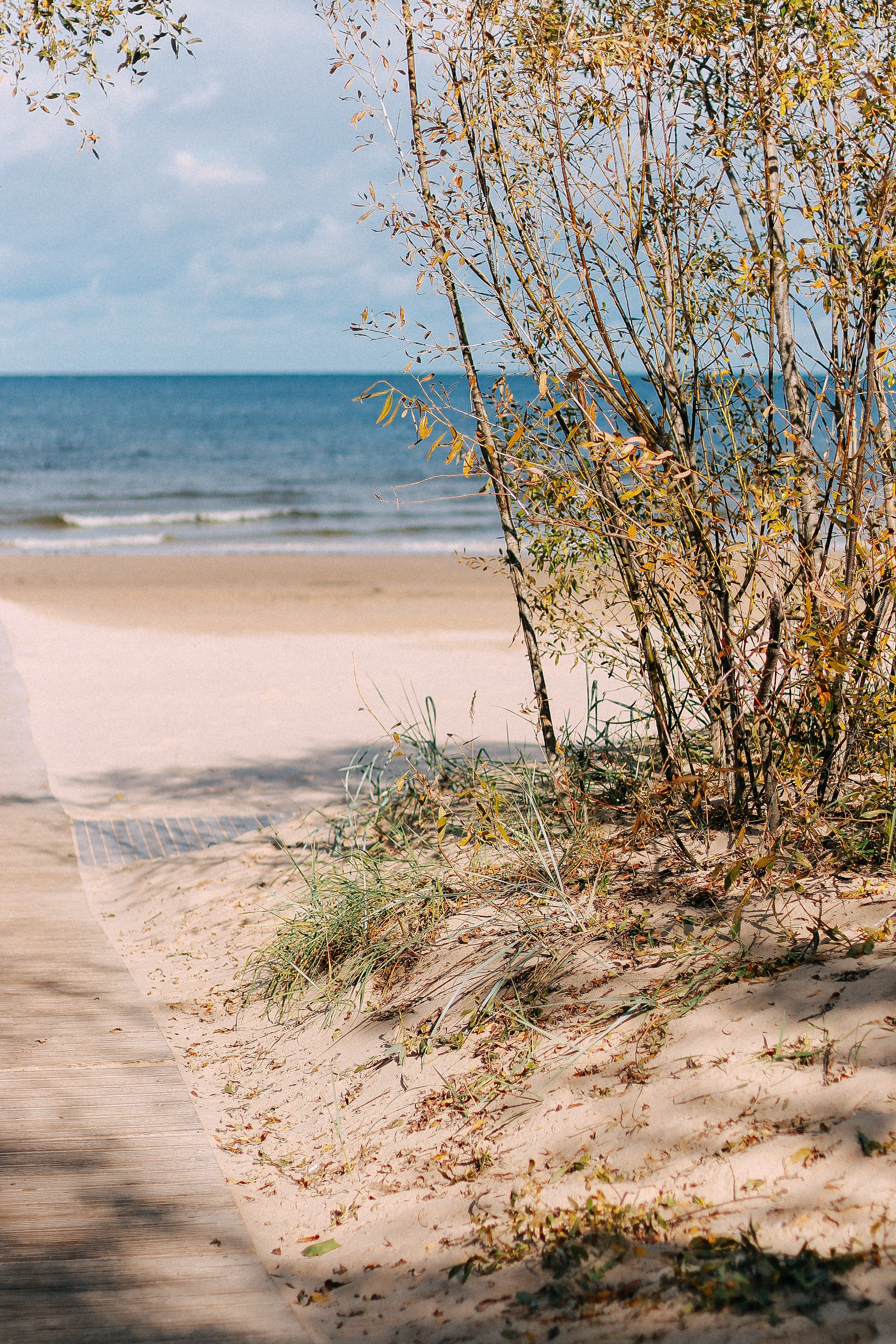 Рижское взморье