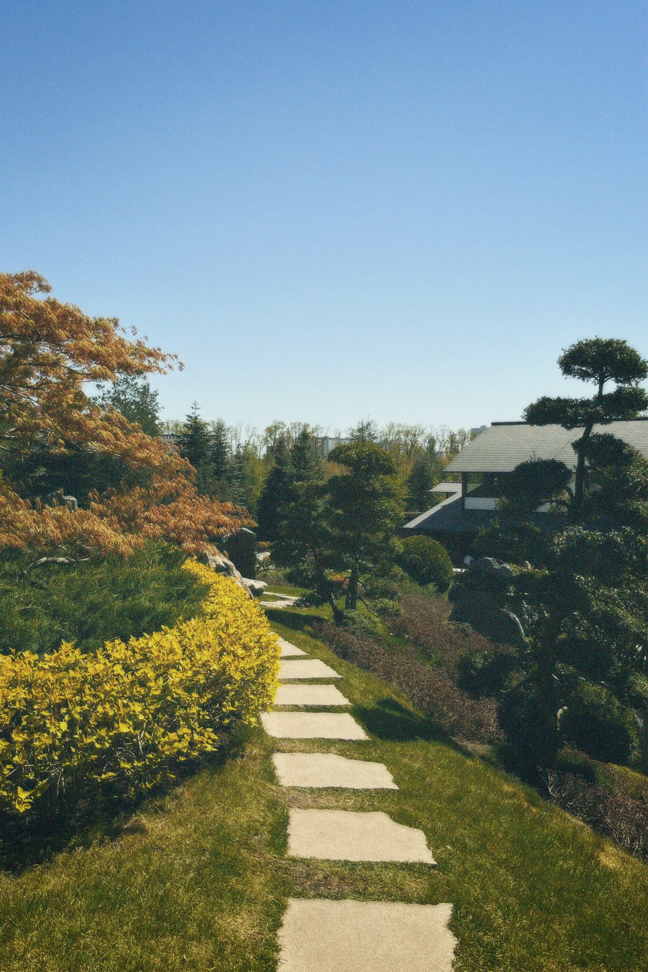 КРАСНОДАР. Портретный и лавстори фотограф в Стерлитамаке Альбина Шарт