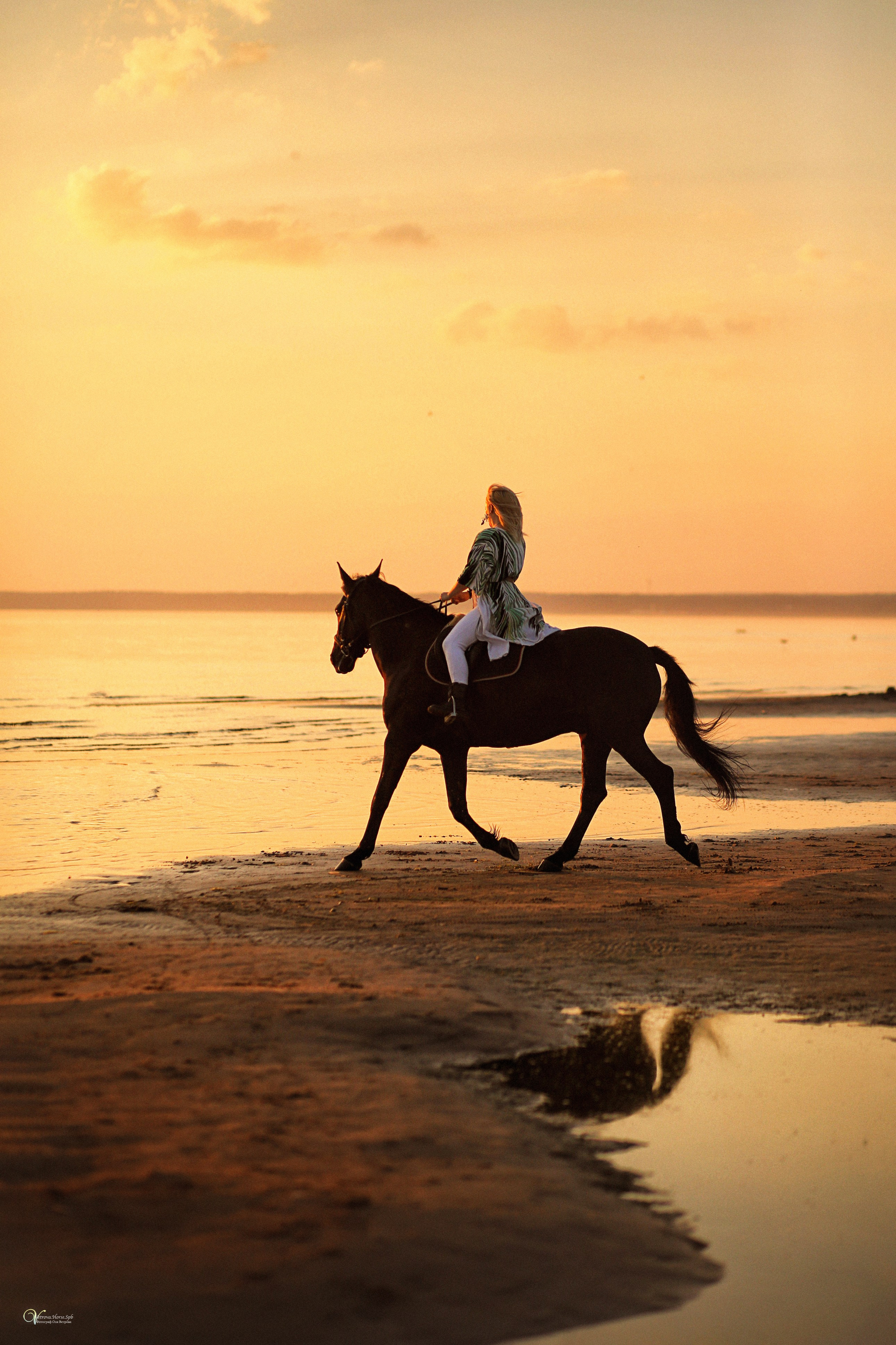 Фотосессия с лошадью на закате в СПб