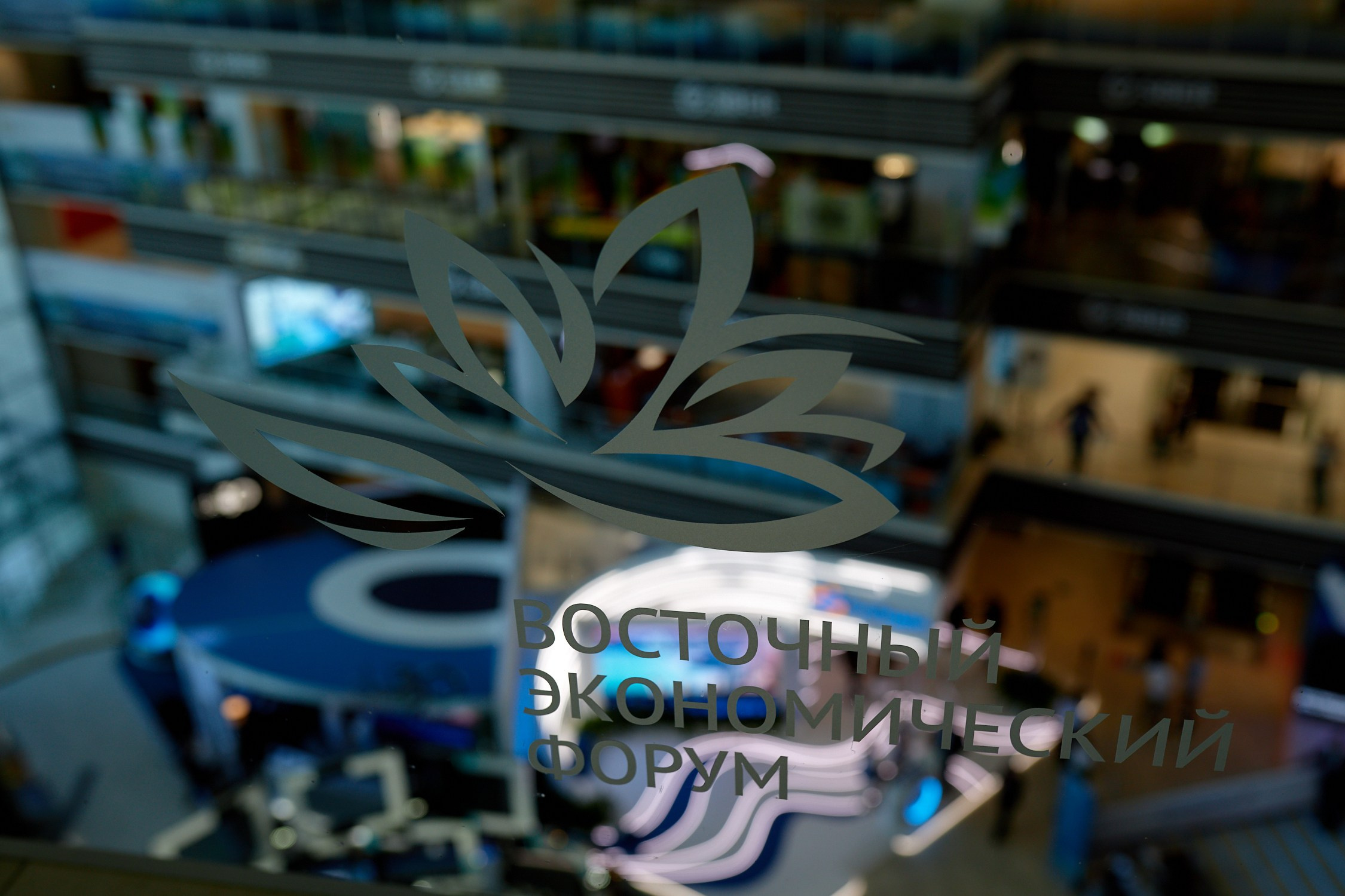 ВЭФ 2023. Репортажный фотограф Владивосток Анастасия Сокольникова