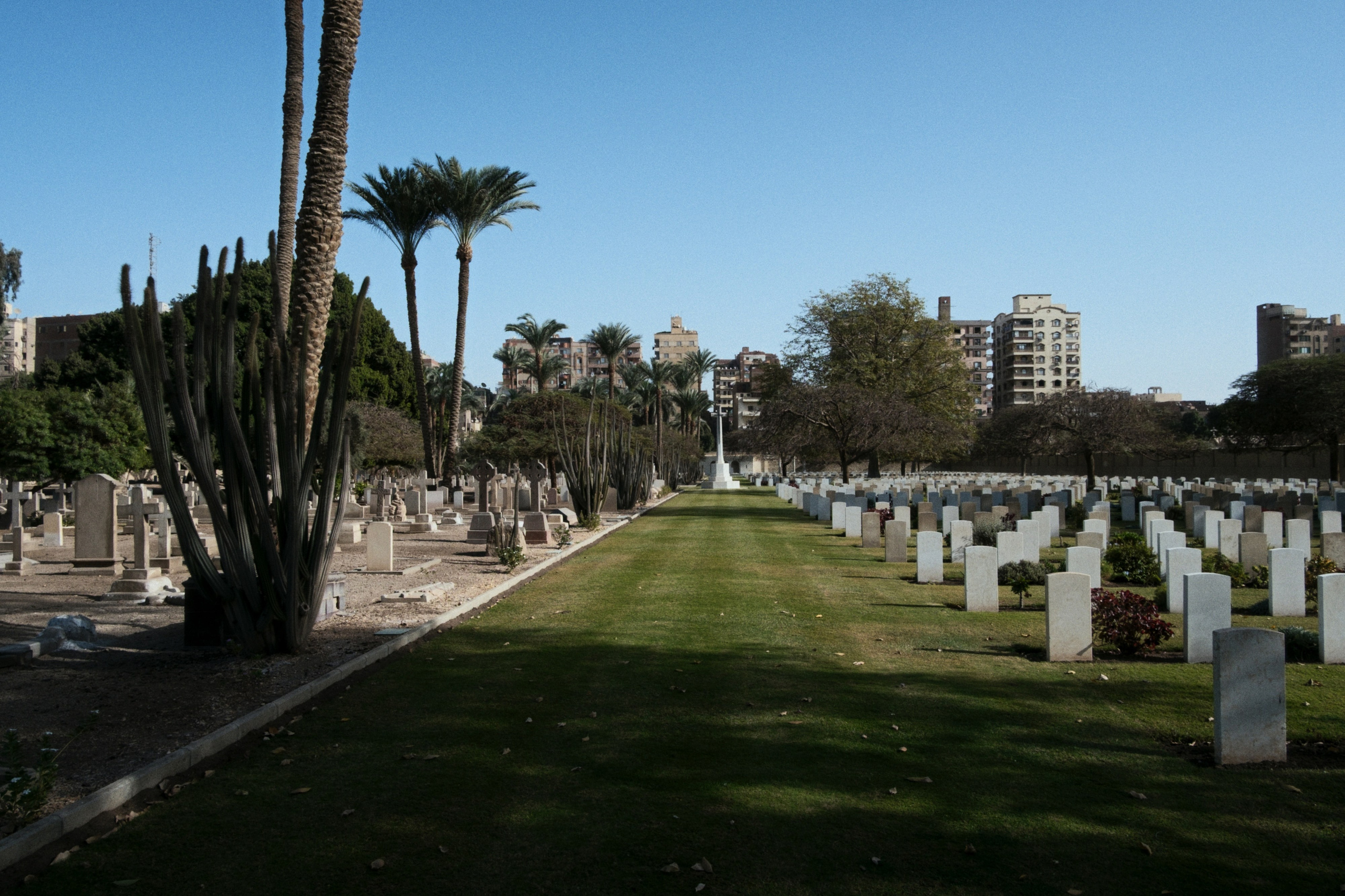 War Memorial Cemetery / Cairo, Egypt AW25. Фотограф Юрин Евгений