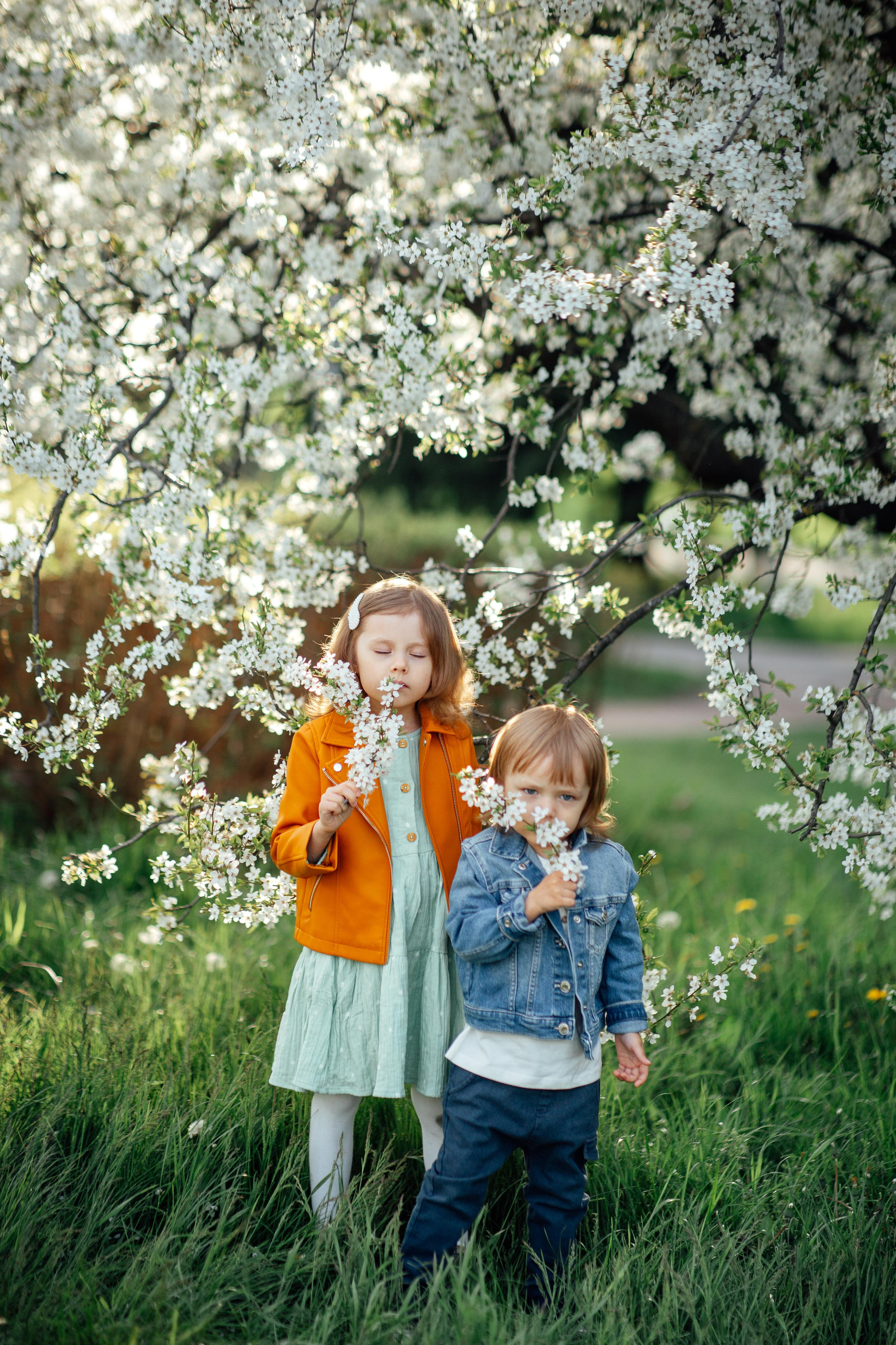 У дерева за 10 минут, май 2022