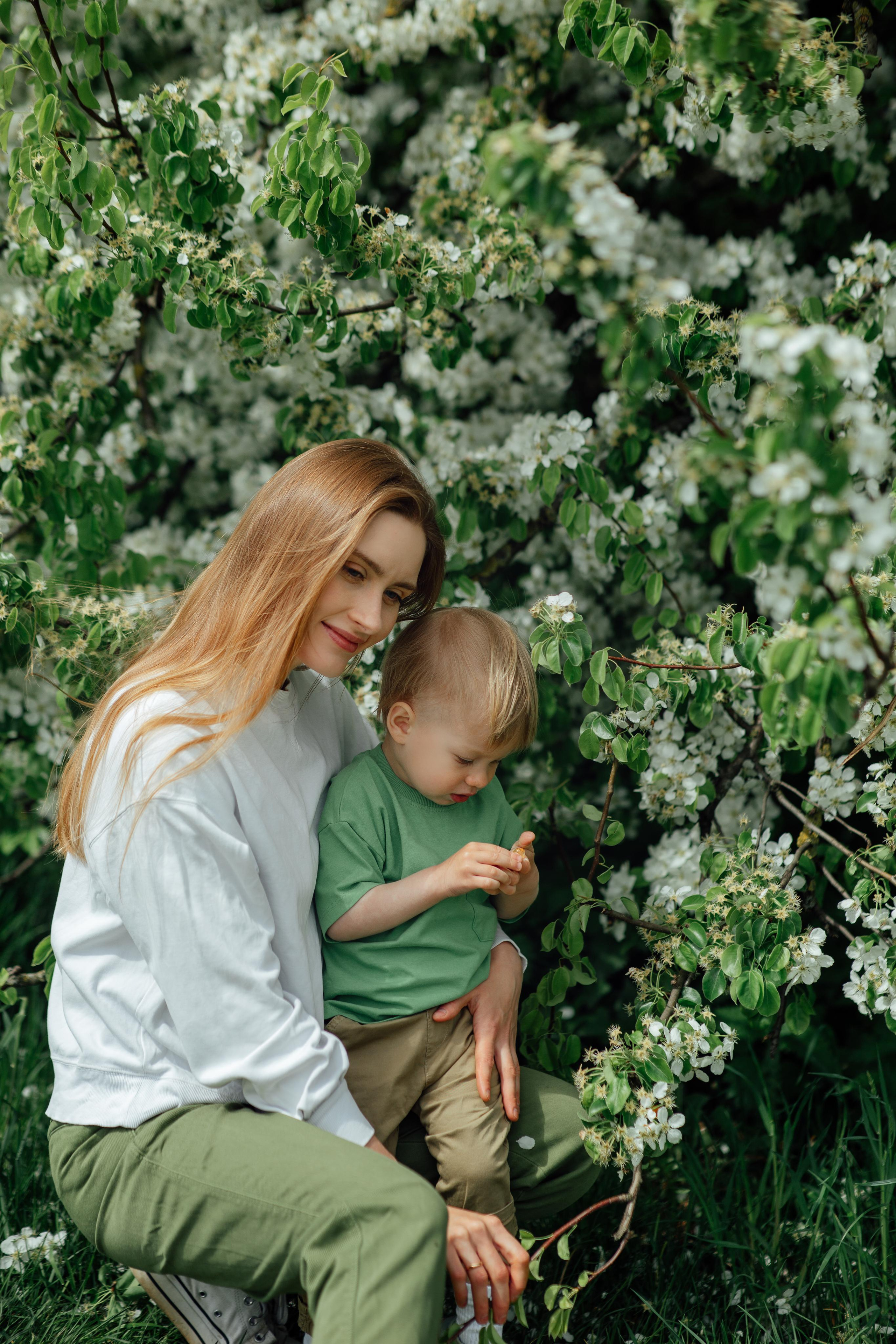 У пышного белого дерева, май 2022