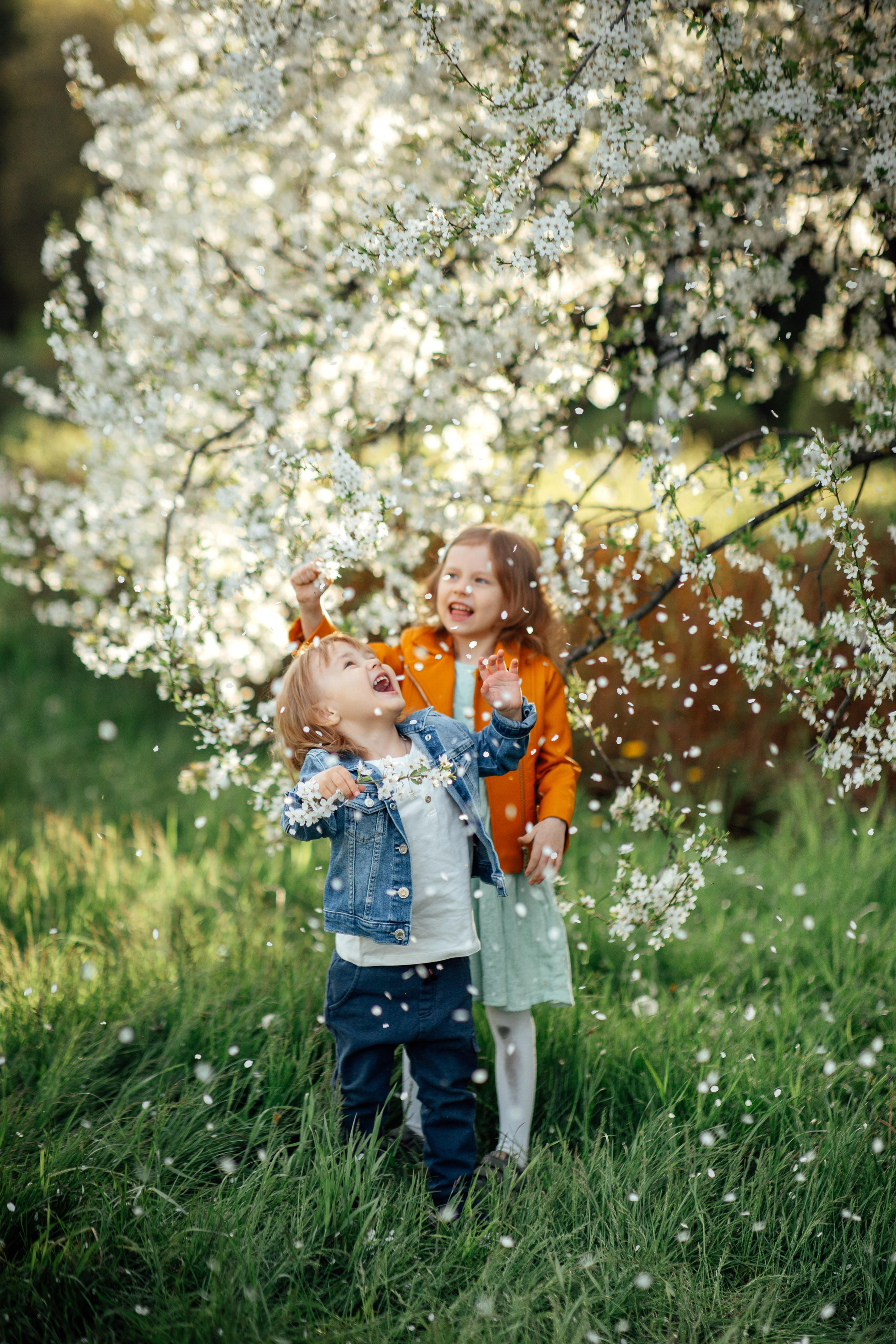 У дерева за 10 минут, май 2022