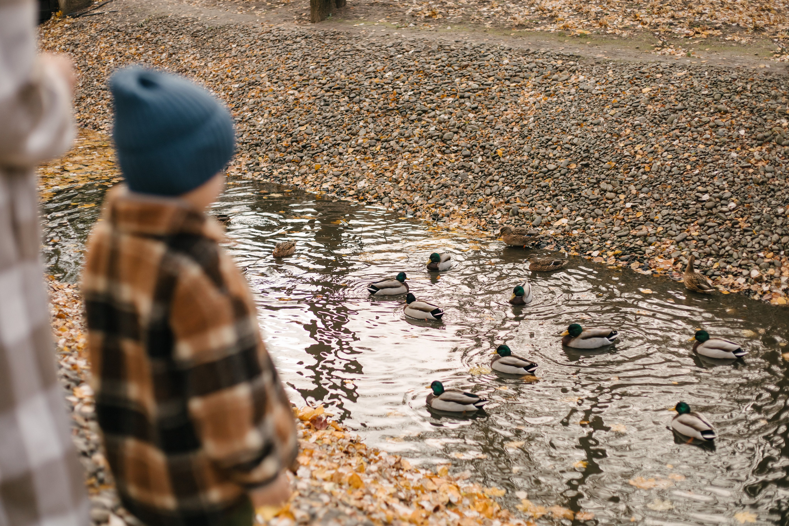 Карина, Марк и Гордей. Свадебный фотограф Москва Воронеж Ленкова Ксения
