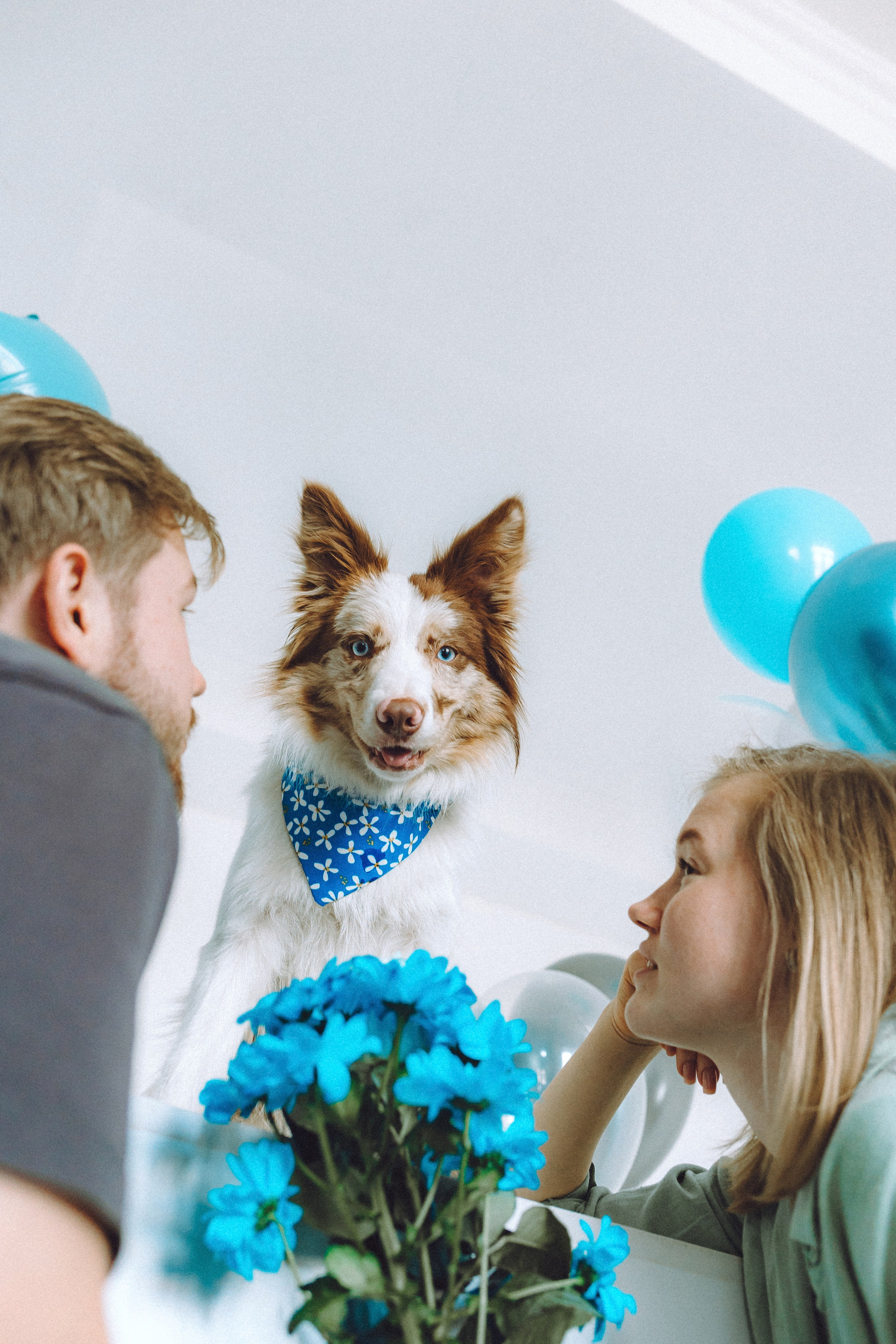 День рождения Айко