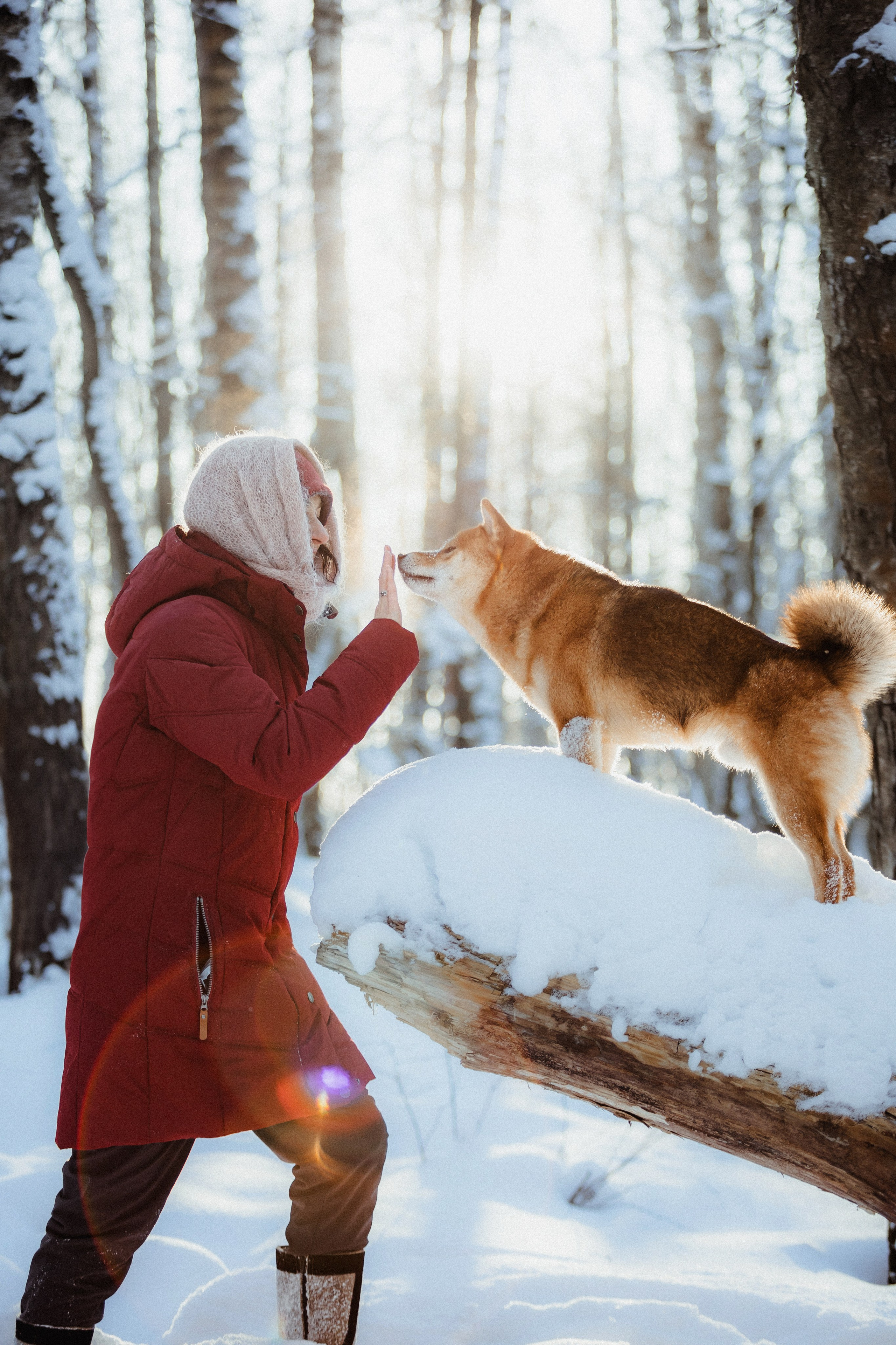 Шед, Цири и Ира