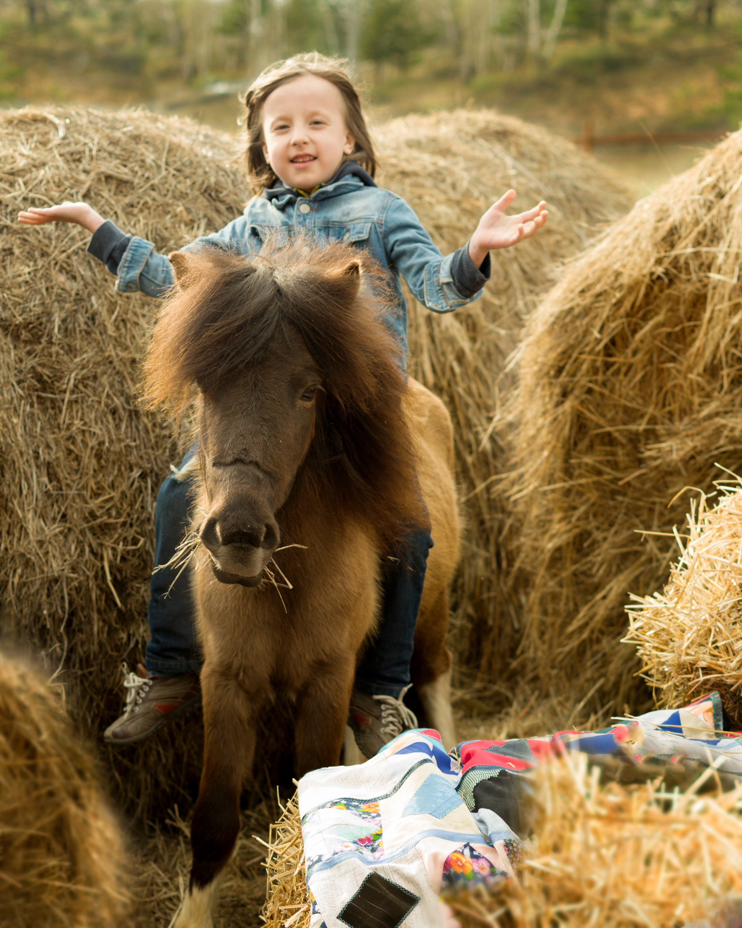 Съёмка с лошадьми: разное. Фотограф Марина Доглядная Челябинск фотосессии с лошадьми, мотоциклами
