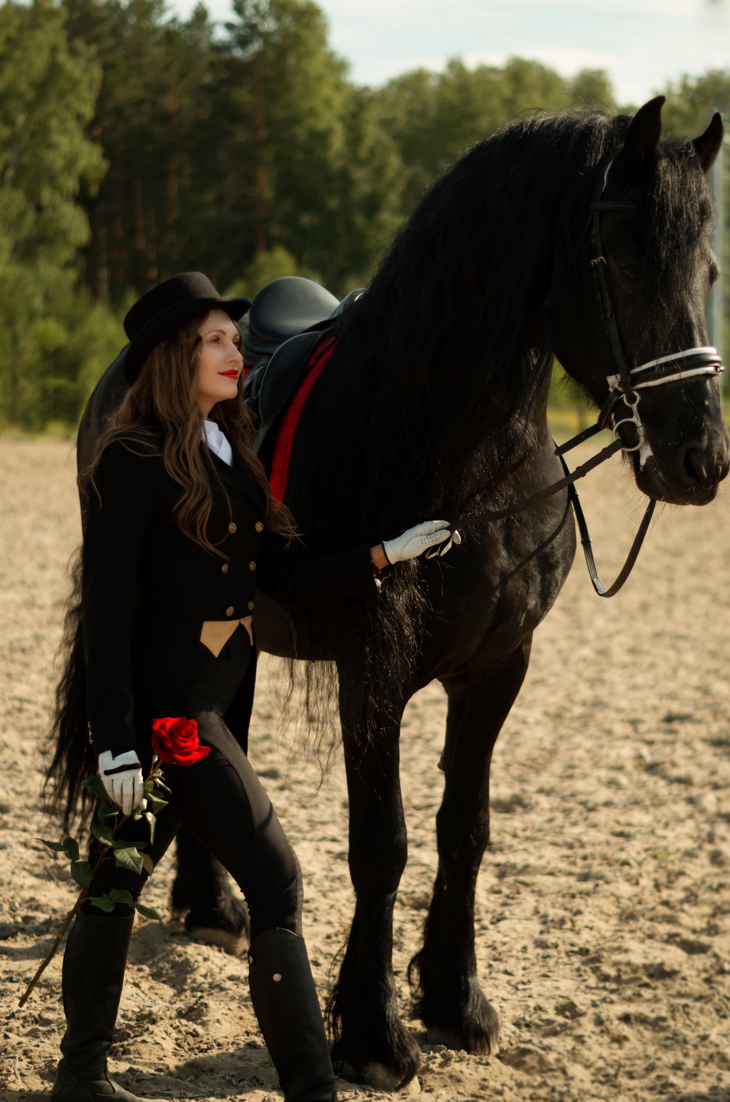 Съёмка с лошадьми: разное. Фотограф Марина Доглядная Челябинск фотосессии с лошадьми, мотоциклами