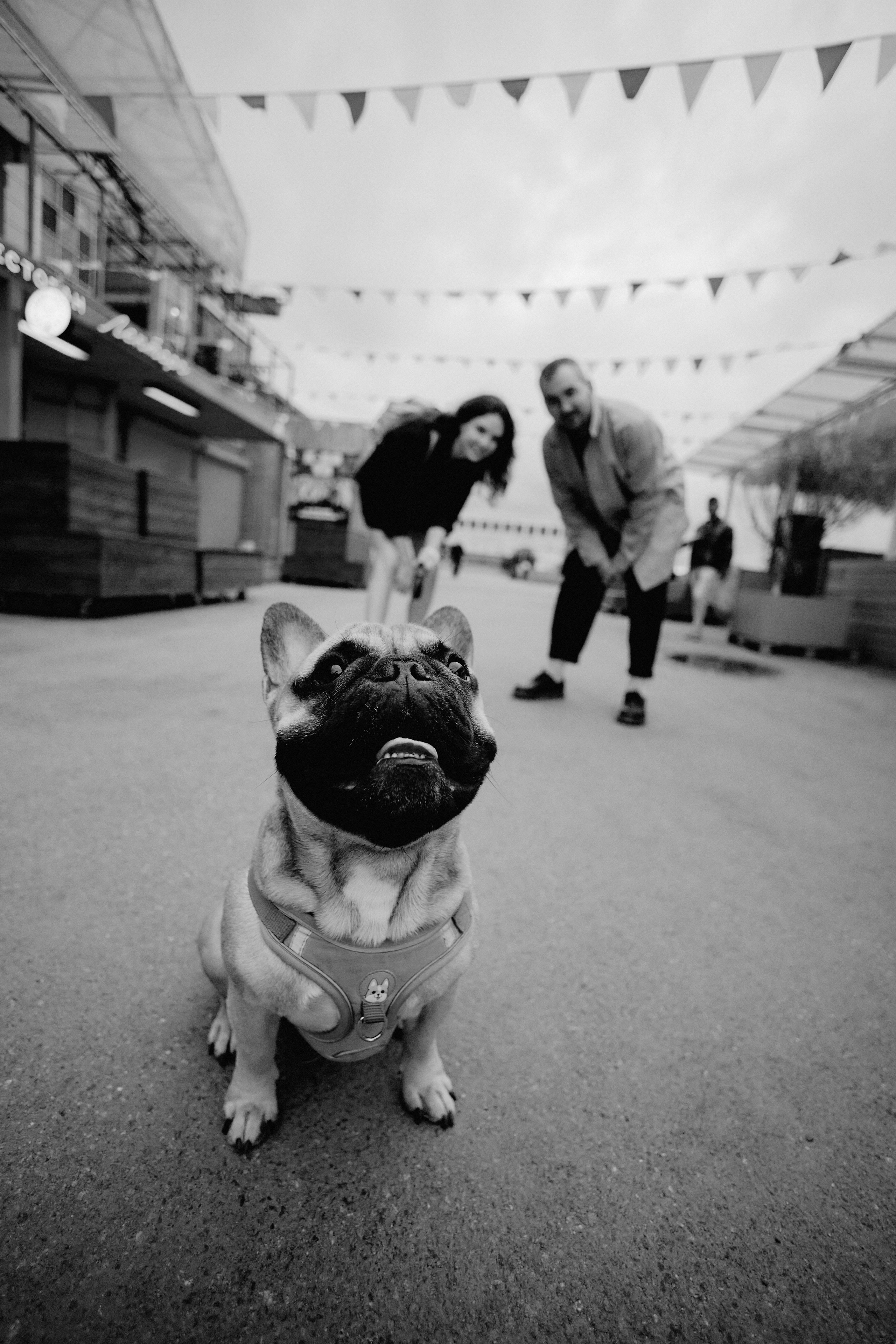 Герман, Катя и Гуляш. Фотограф Никита Журнаков | Екатеринбург