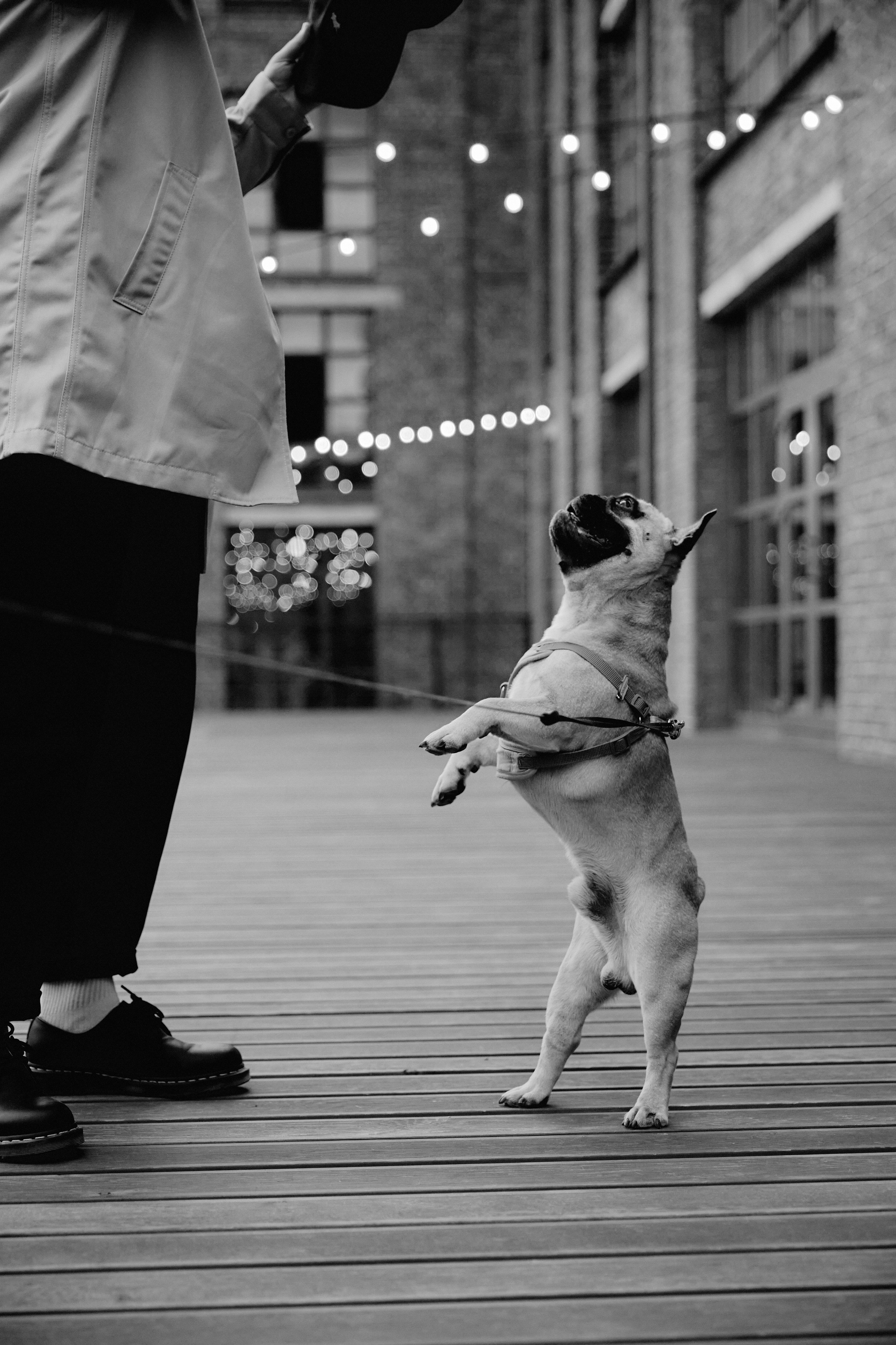 Герман, Катя и Гуляш. Фотограф Никита Журнаков | Екатеринбург