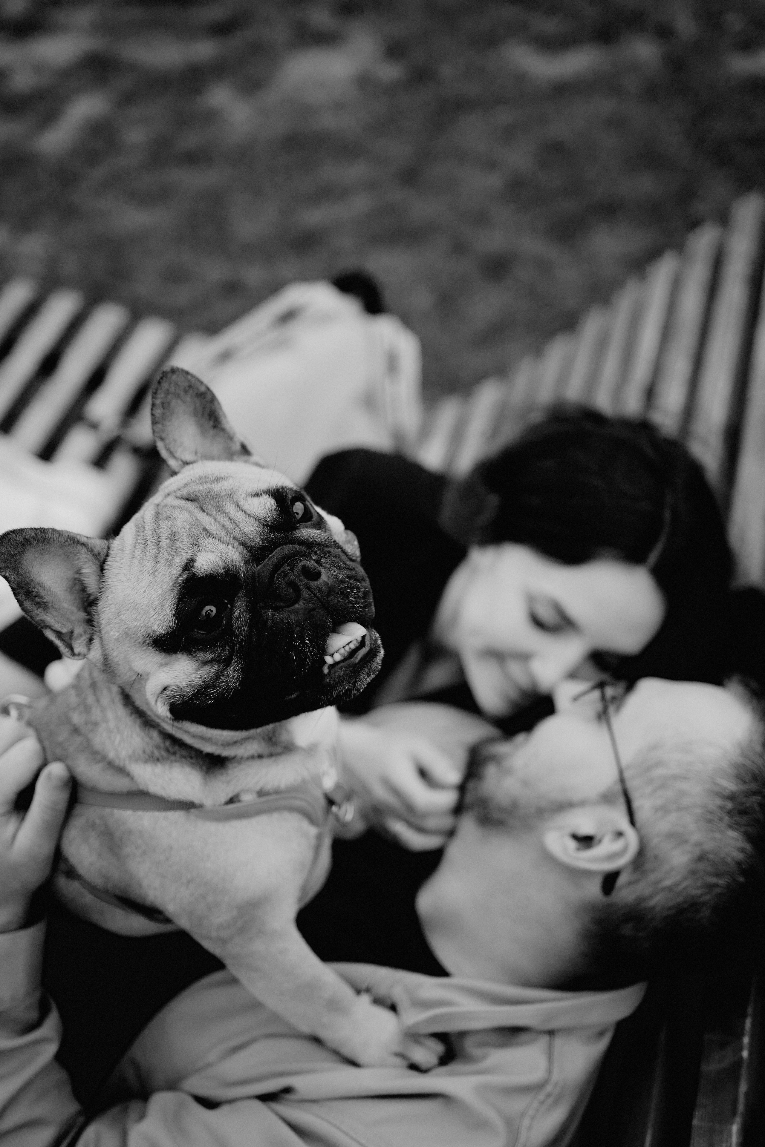 Герман, Катя и Гуляш. Фотограф Никита Журнаков | Екатеринбург