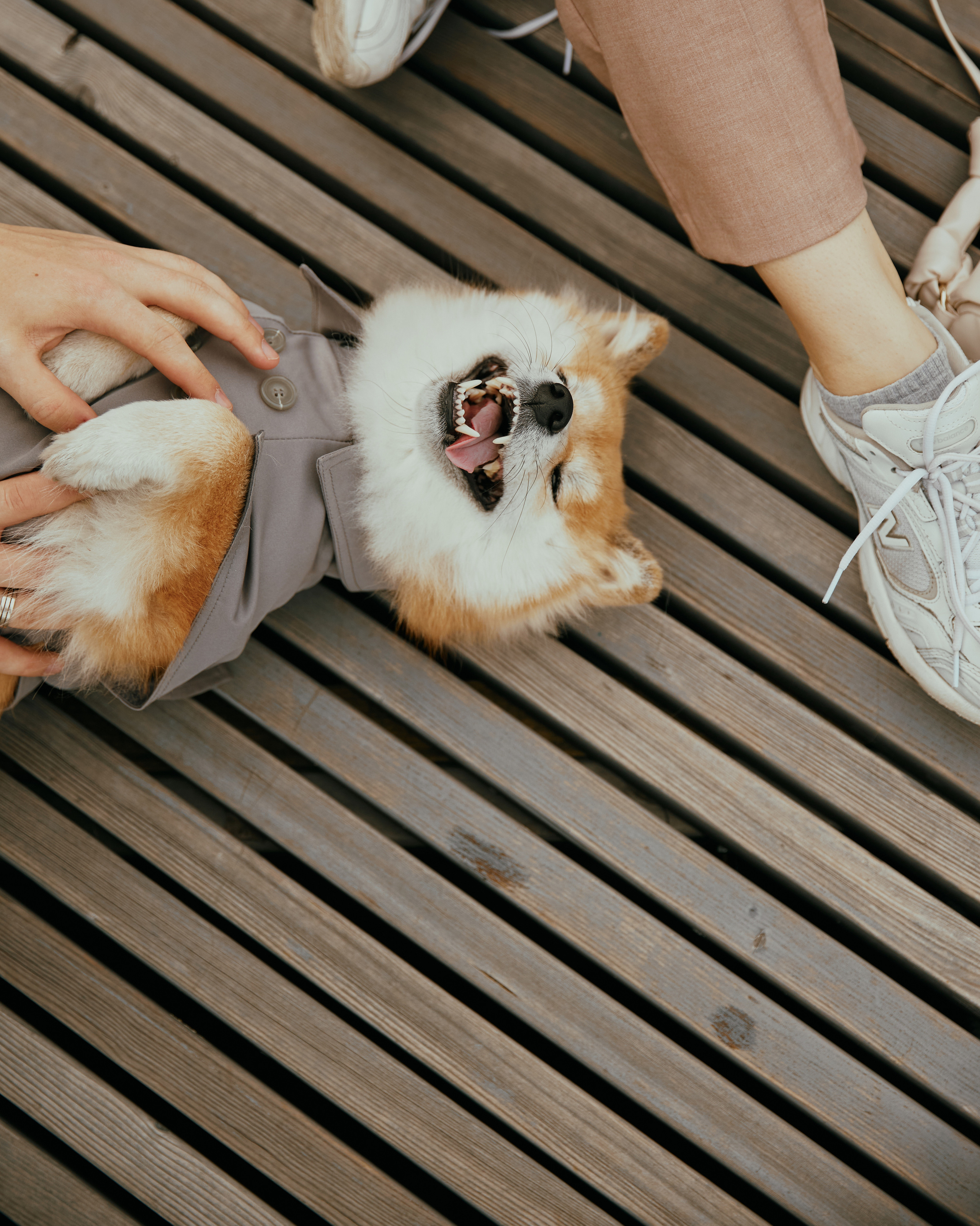 Ханни Вова Эль. Фотограф Никита Журнаков | Екатеринбург
