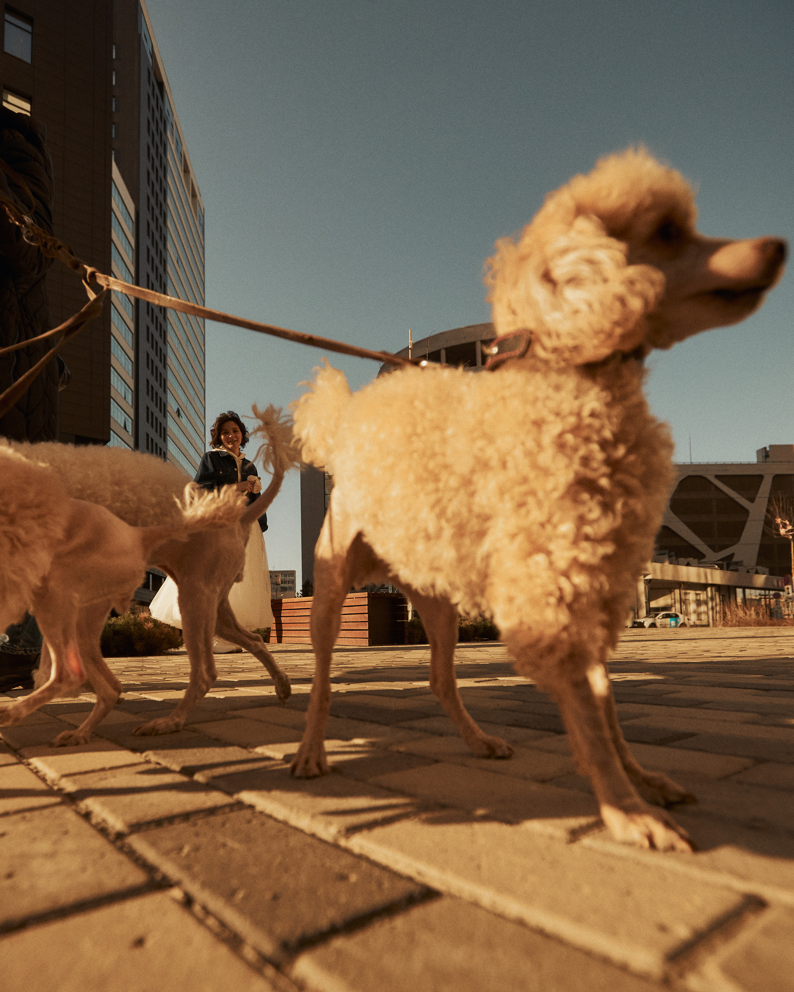 Катя и Саша. Фотограф Никита Журнаков | Екатеринбург