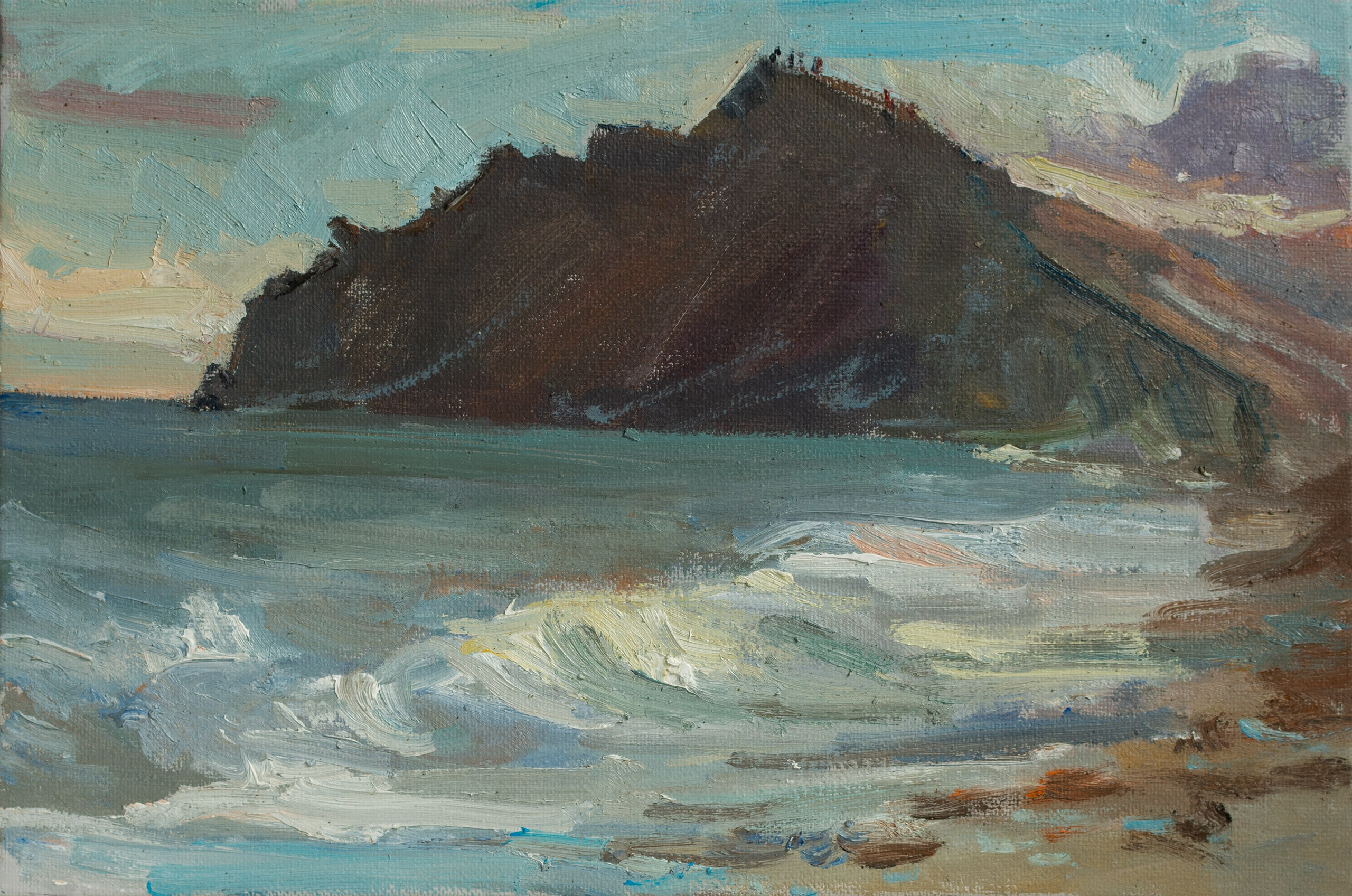 "Этюд.Хамелеон" холст на картоне,масло 20х30 см, 2023 Не продается