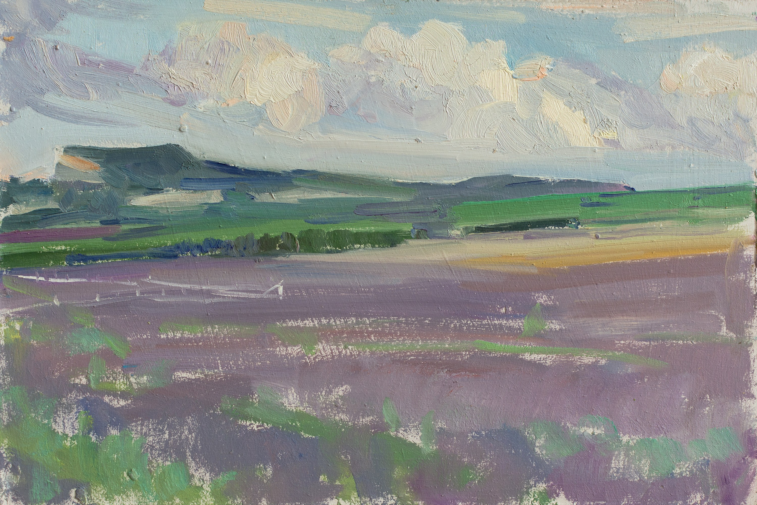 "Этюд.Лиловый прованс" оргалит, масло 20.5х30см, 2024