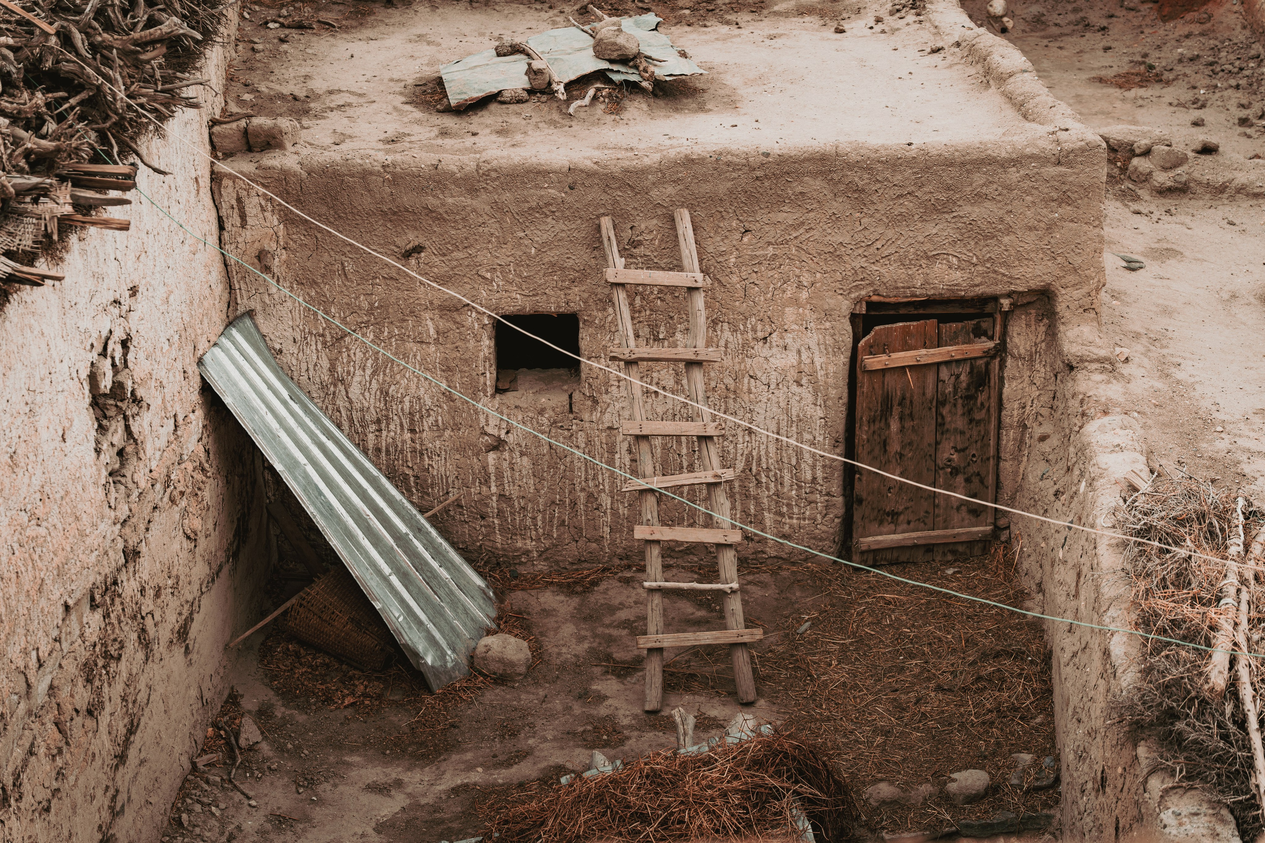 Королевство Мустанг. Dmitry Ippolitov