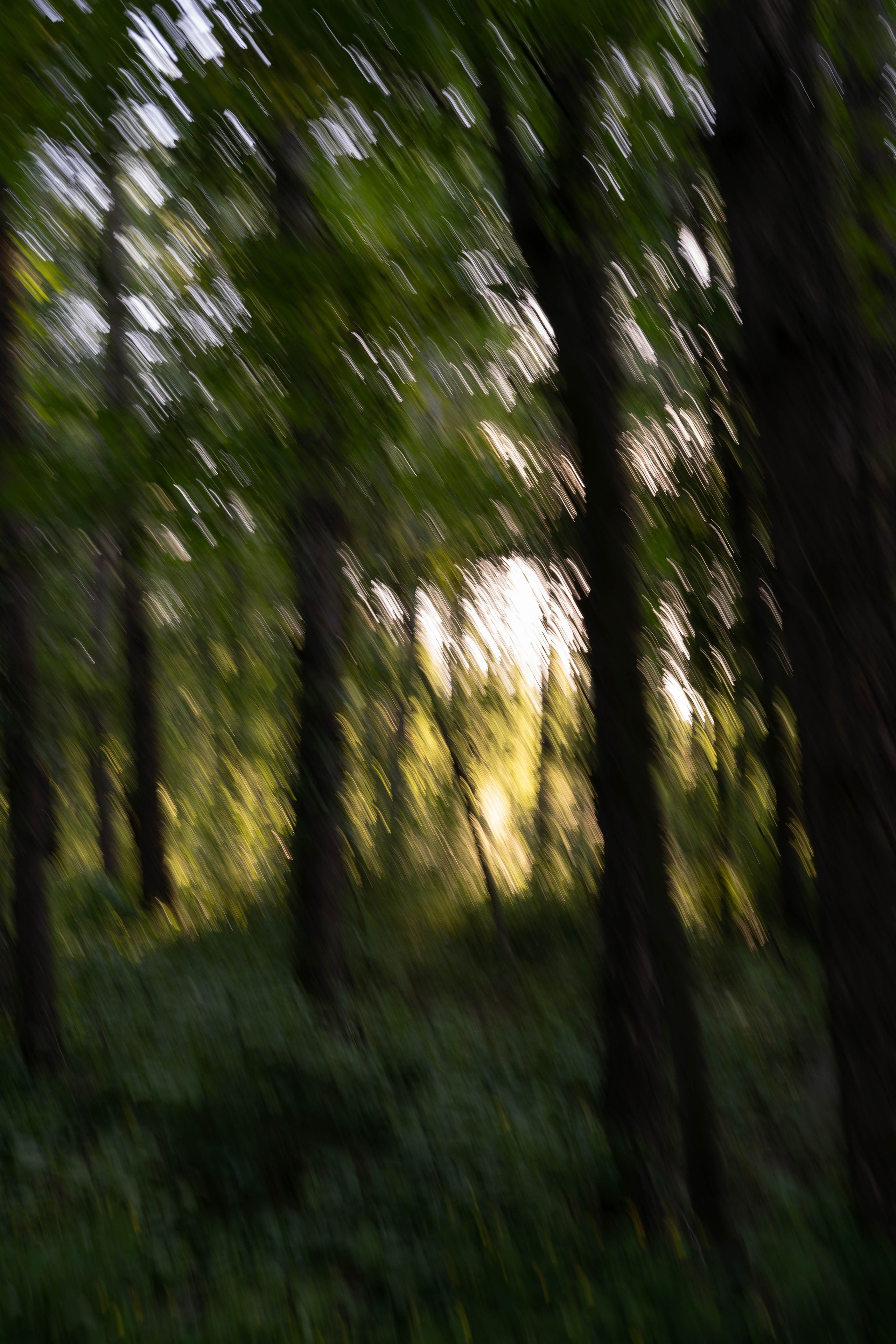 ЮляГарриАриэла. Портретный и семейный фотограф в Пятигорске Кутырева Ксения