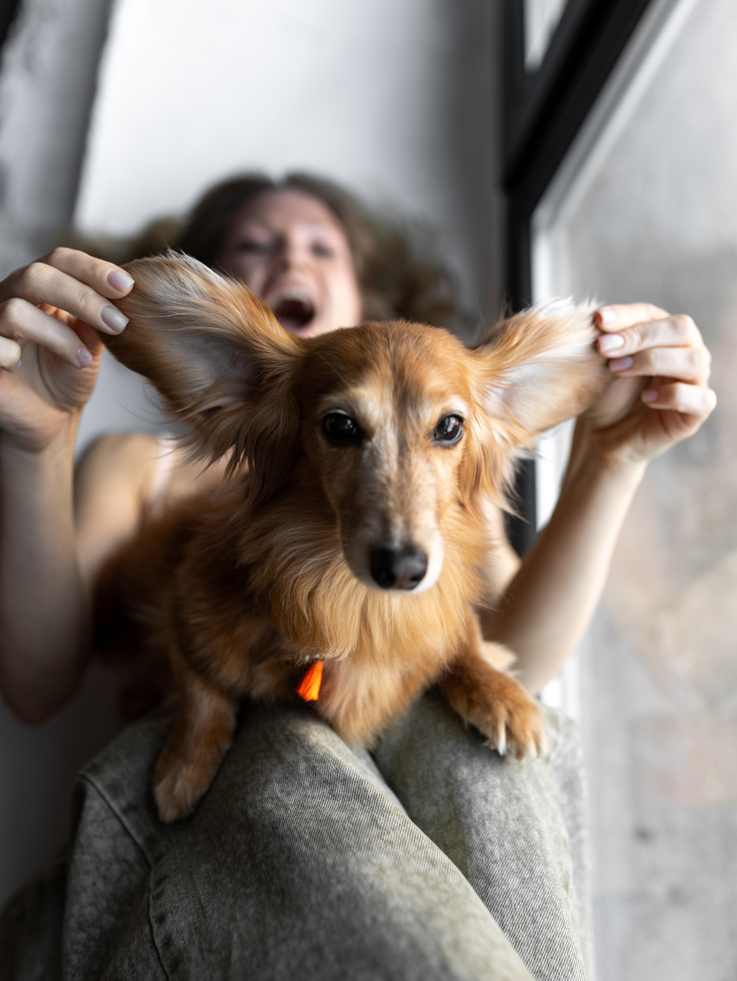 Лимон и Аня. Фотограф-анималист в Москве Кириллова Татьяна