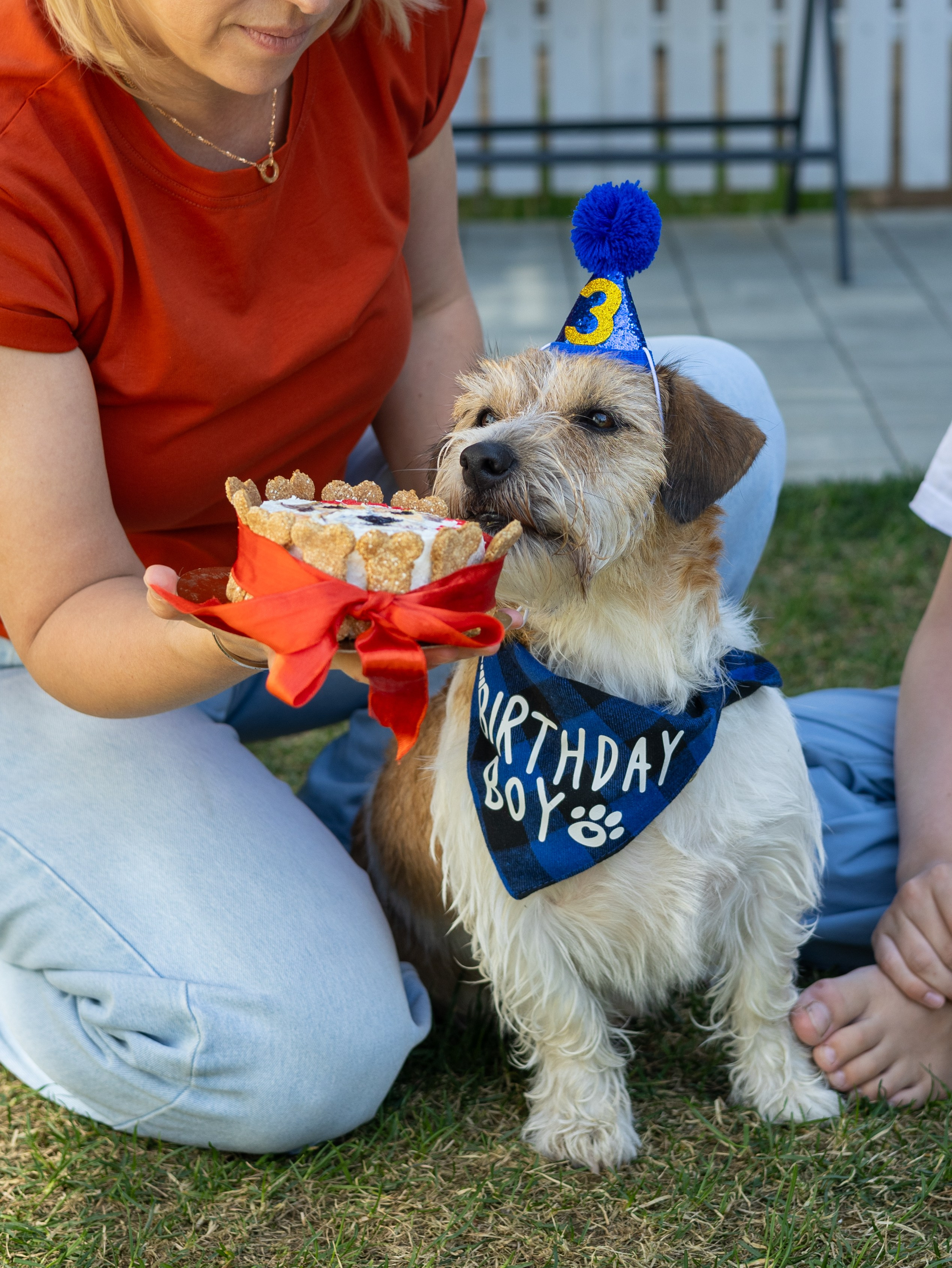 День рождение Зенита. Фотограф-анималист в Москве Кириллова Татьяна