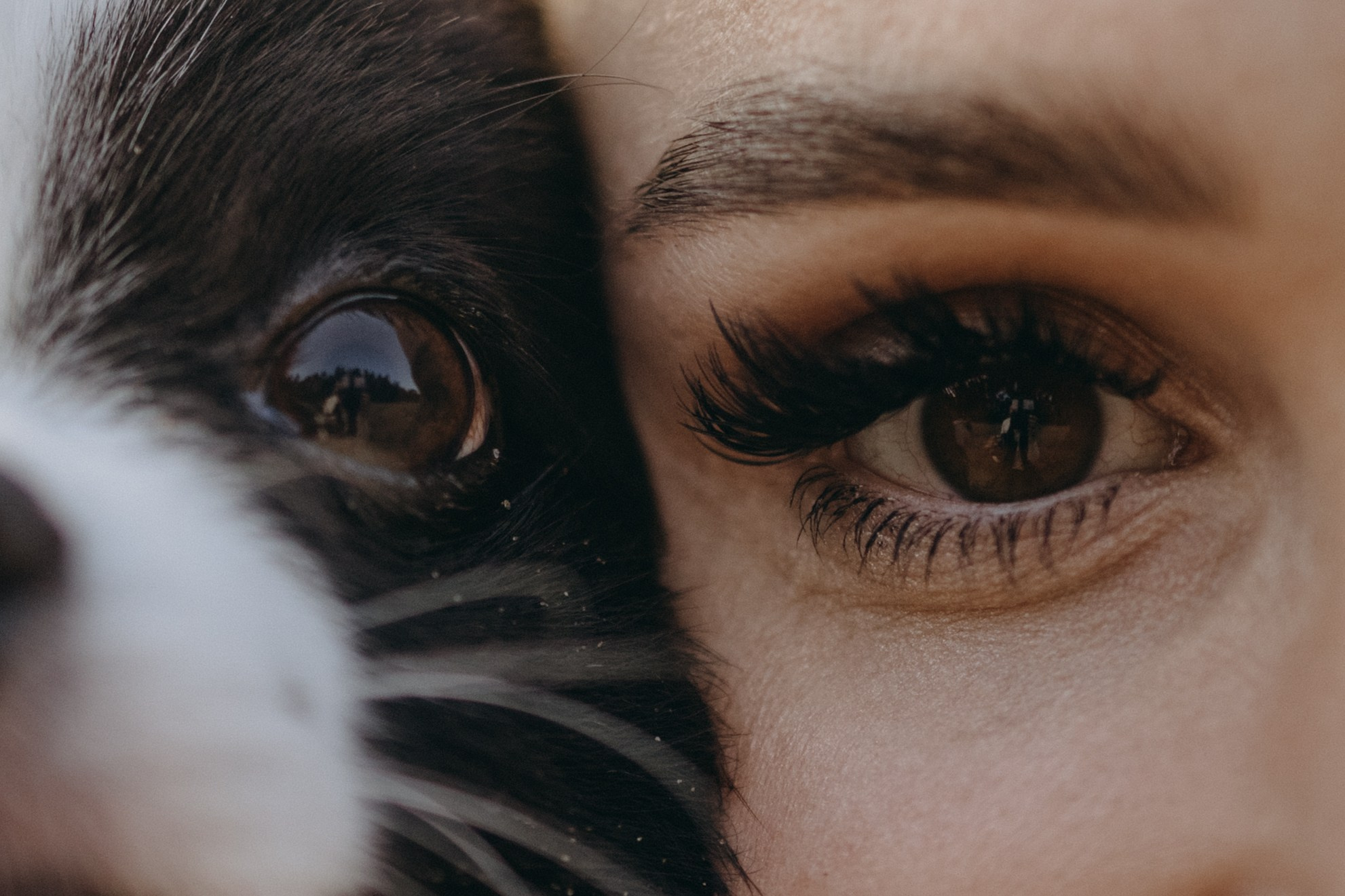 Диана и ее мальчики. Фотограф — Анималист | Санкт-Петербург