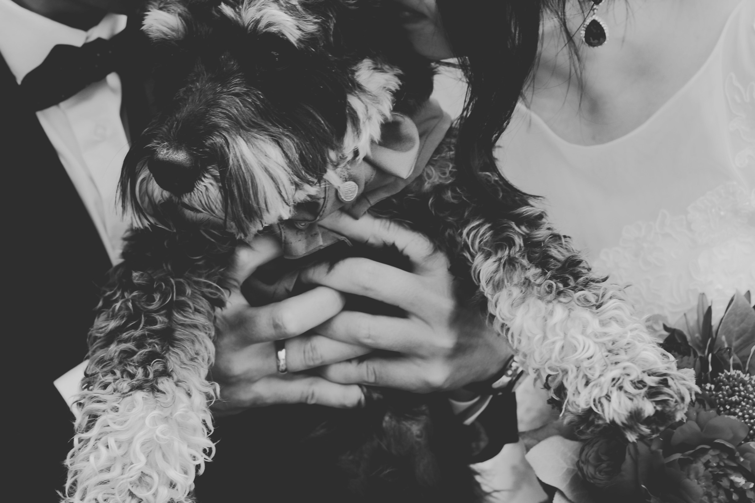 Что-то про любовь. Фотограф Евгения Рай