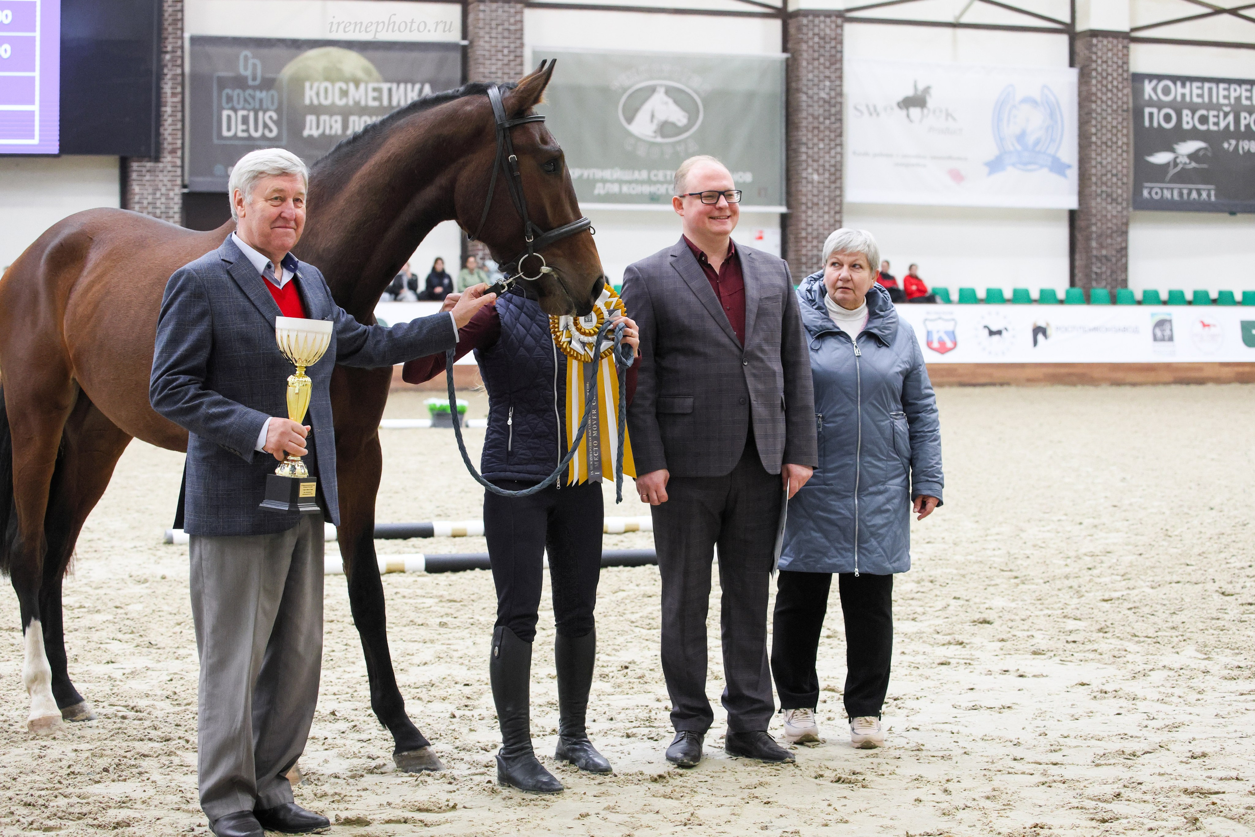 Конная Россия 2024 Оценка двигательных качеств. Irenephoto.ru