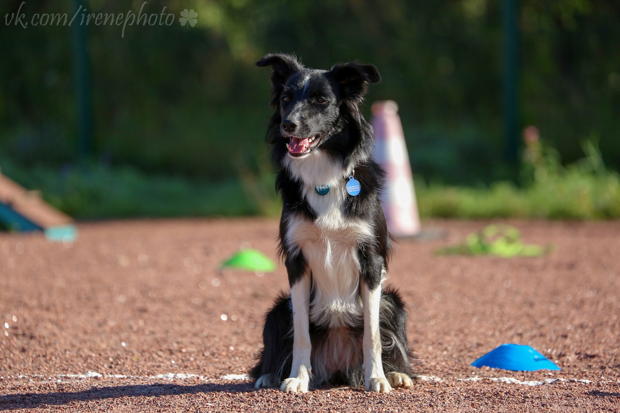 Остановка из движения. Irenephoto.ru