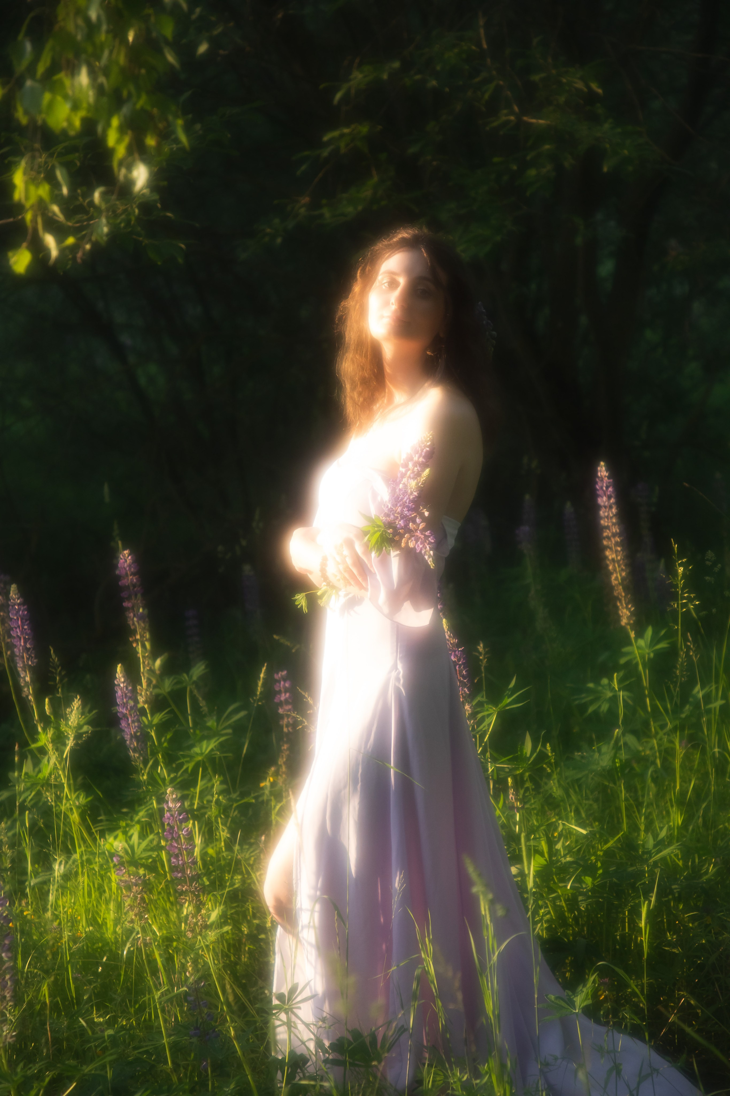 Люпиновое поле. Юлия Башкатова, сказочный фотограф, Москва