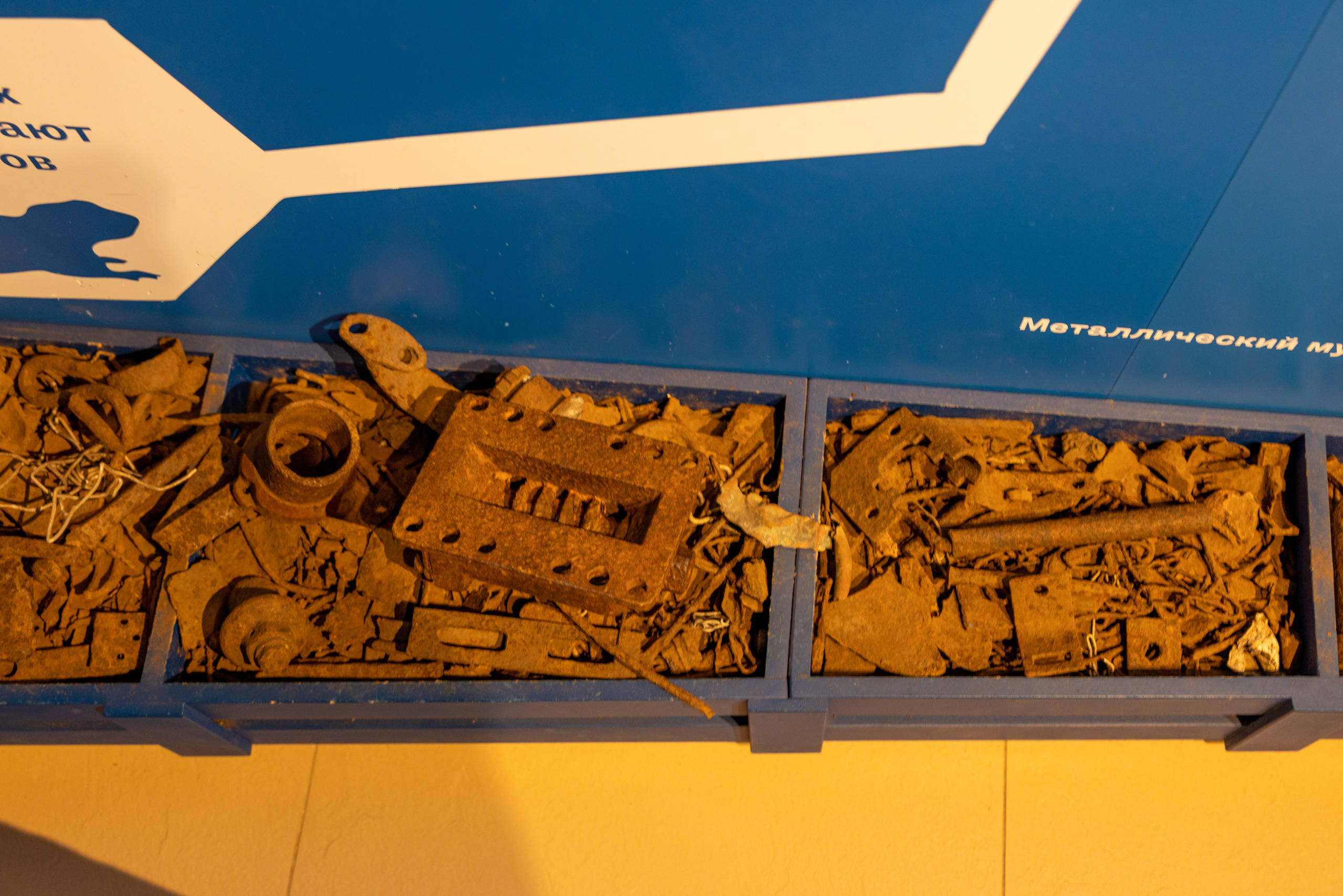 Поездка на поле Кулеково. Фотограф в Туле Крупский АнДРей. Фотостудия «КАДР71» в Туле