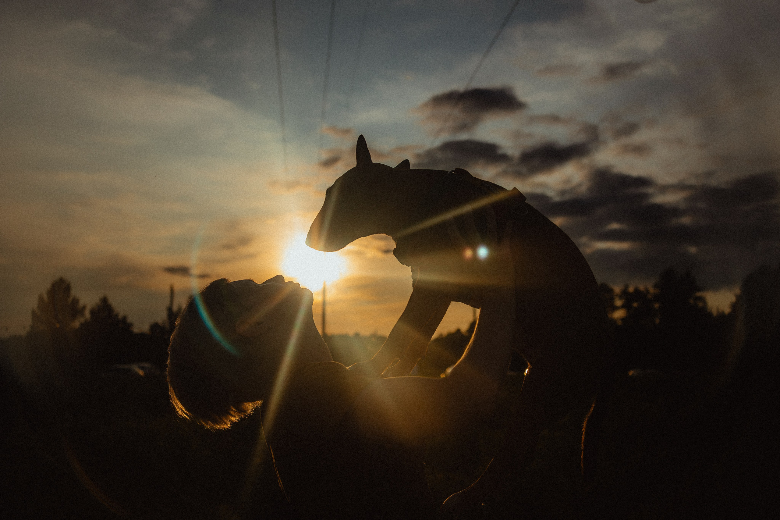 Выездной дог-тренинг от школы «Шерсть имею»