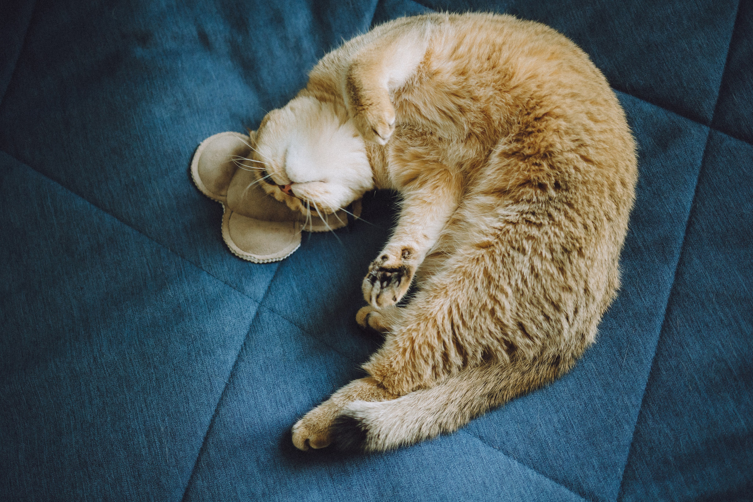 Генри и его семья