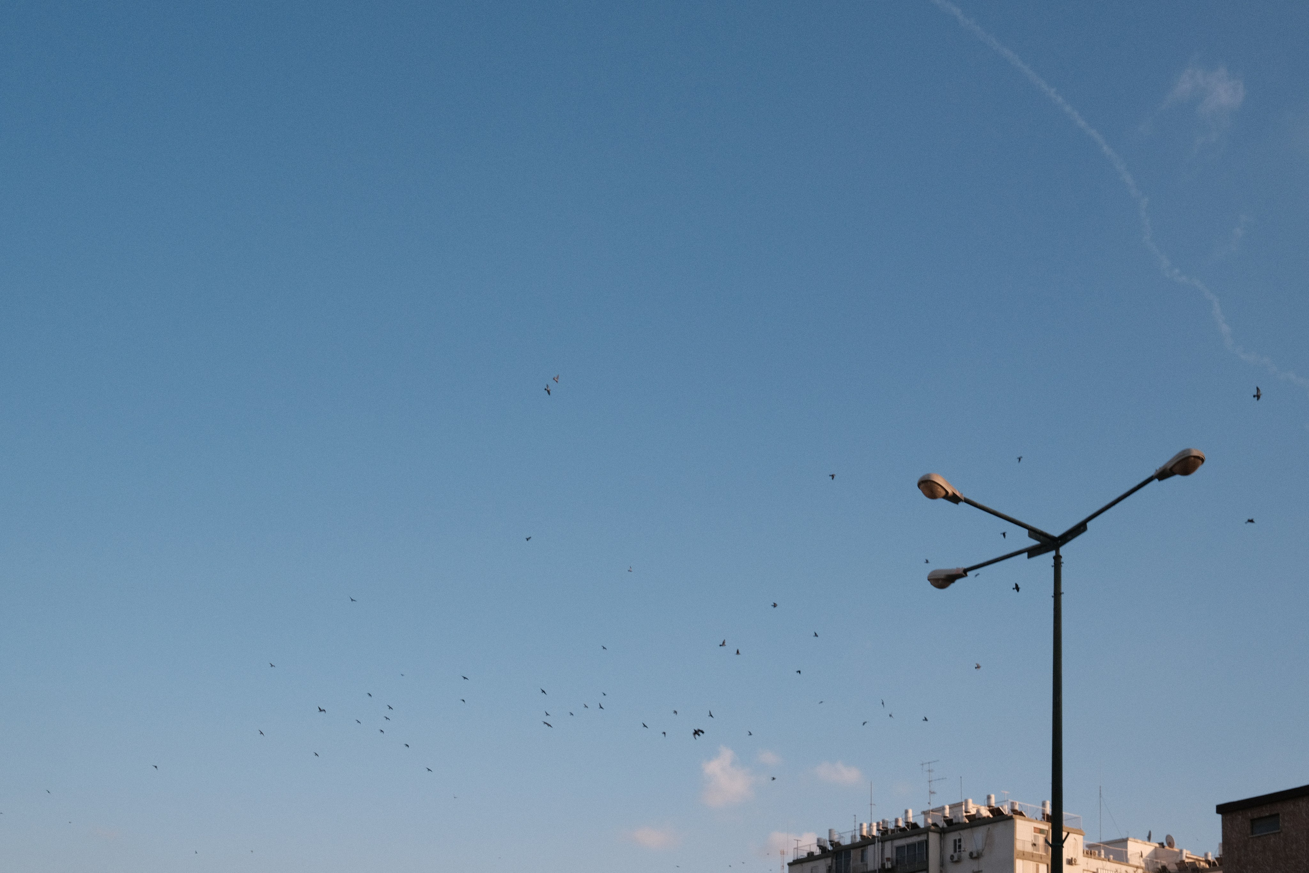 Фотографии Беер-Шевы | Филипп Линзин. Репортажный и портретный фотограф в Санкт-Петербурге Филипп Линзин