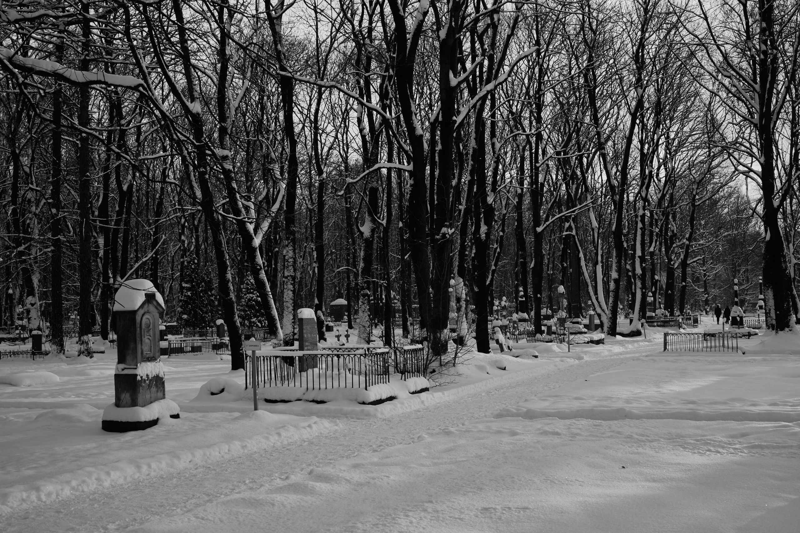 Городской пейзаж — deadpan | Филипп Линзин. Репортажный и портретный фотограф в Санкт-Петербурге Филипп Линзин