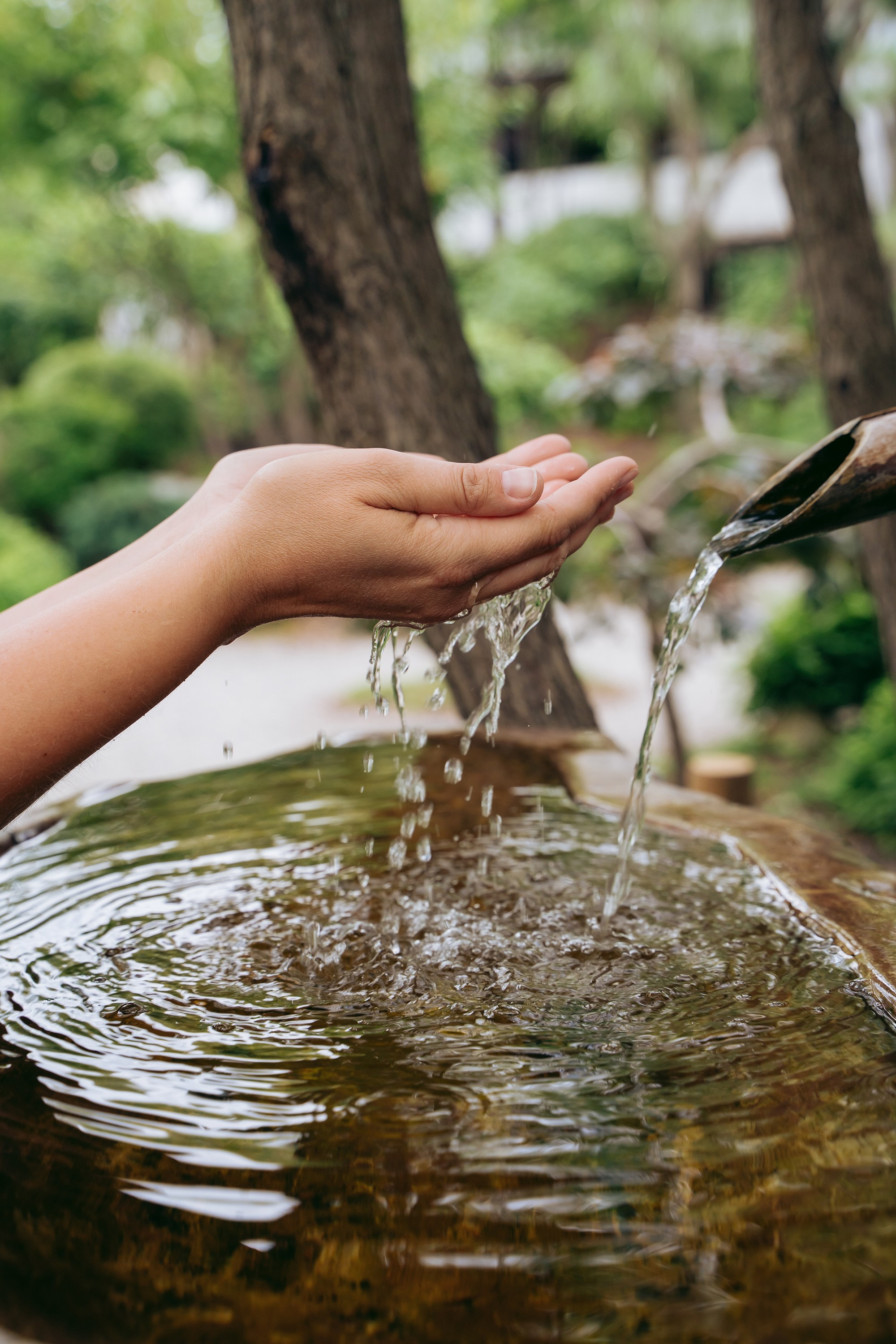 ~ Про тебя ~. Яна Жуковская, фотограф Тюмень