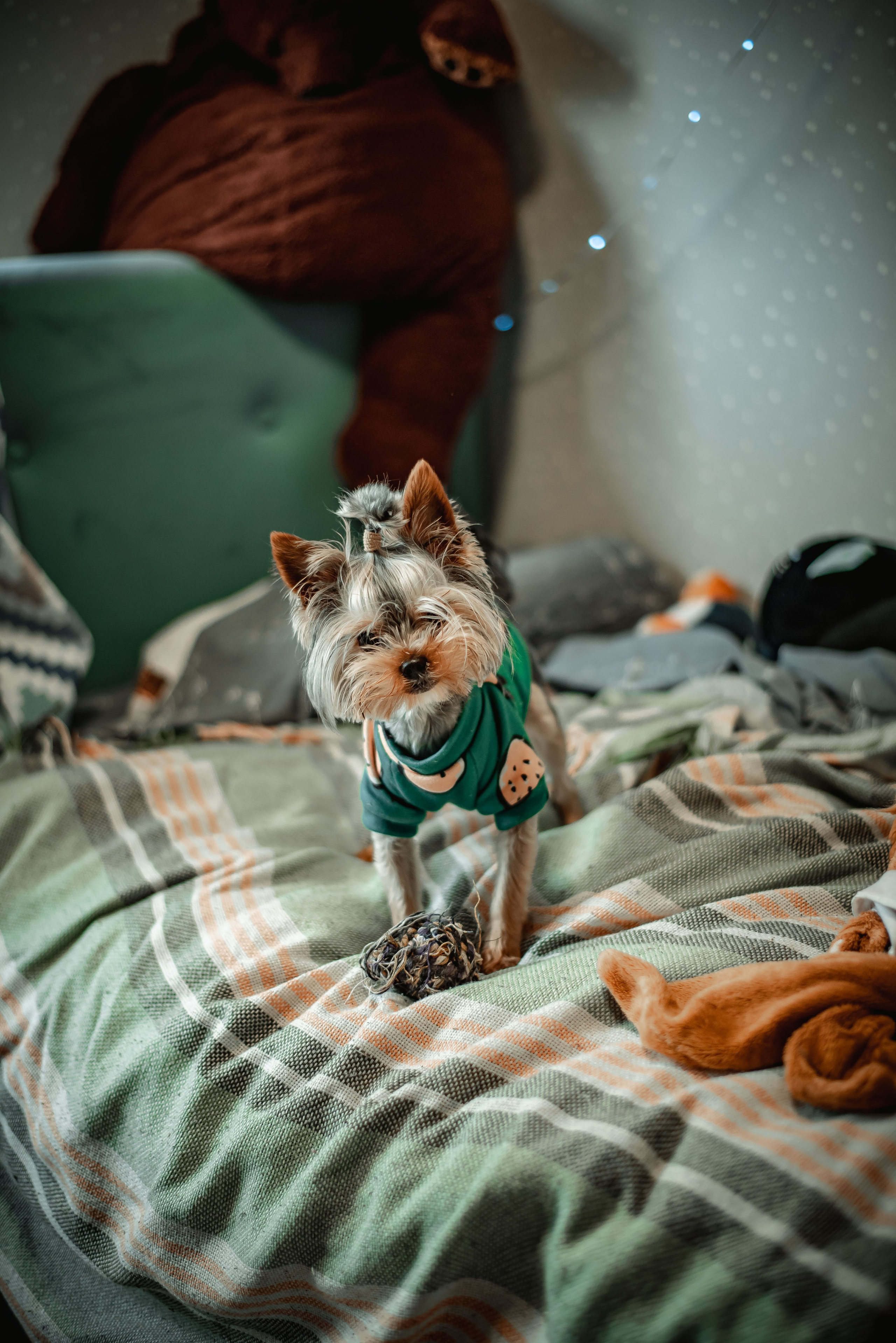 Домашняя lifestyle съемка. Свадебный и портретный фотограф lifestyle