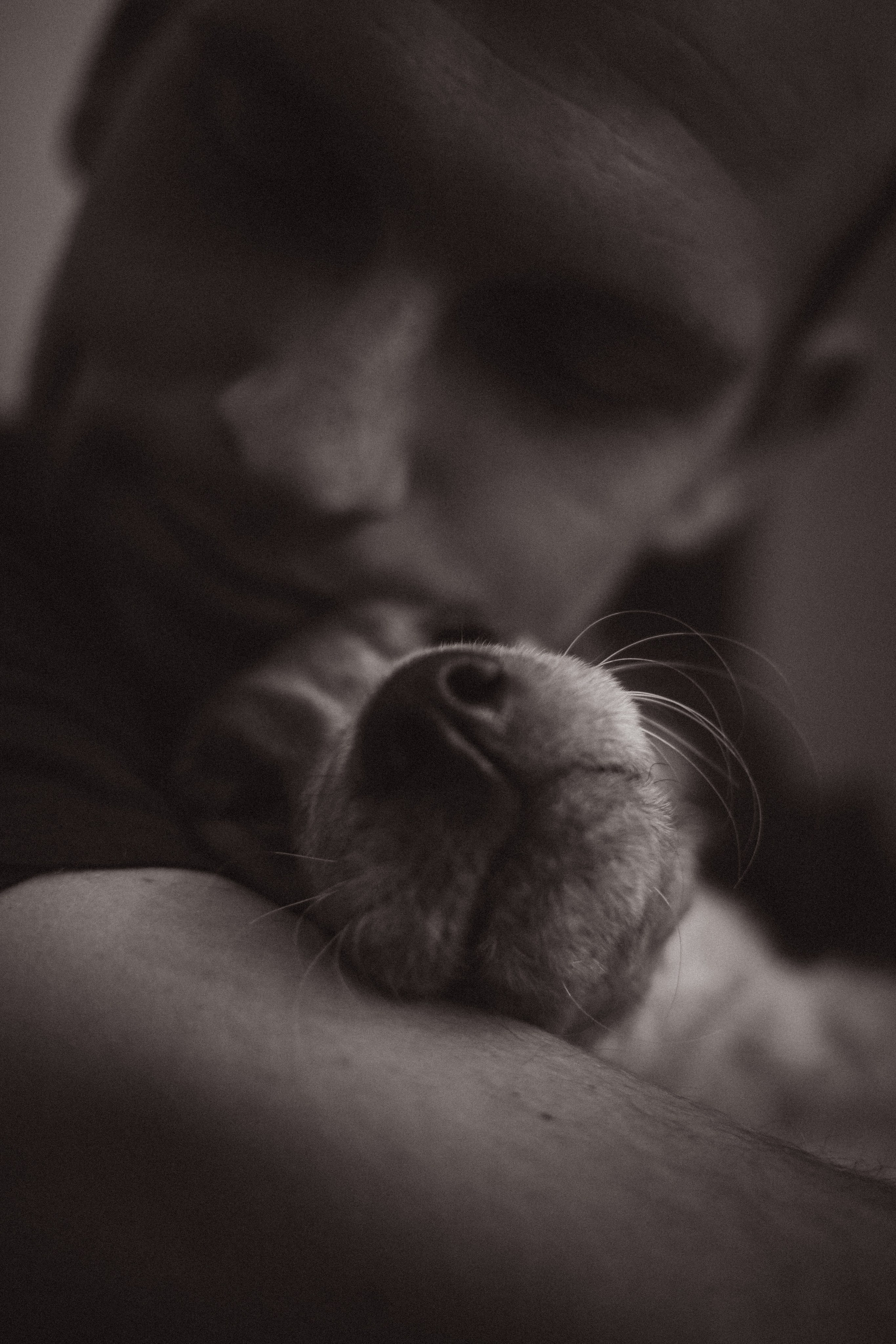 Счастливая жизнь. Фотограф в Москве Бастракова Юлия