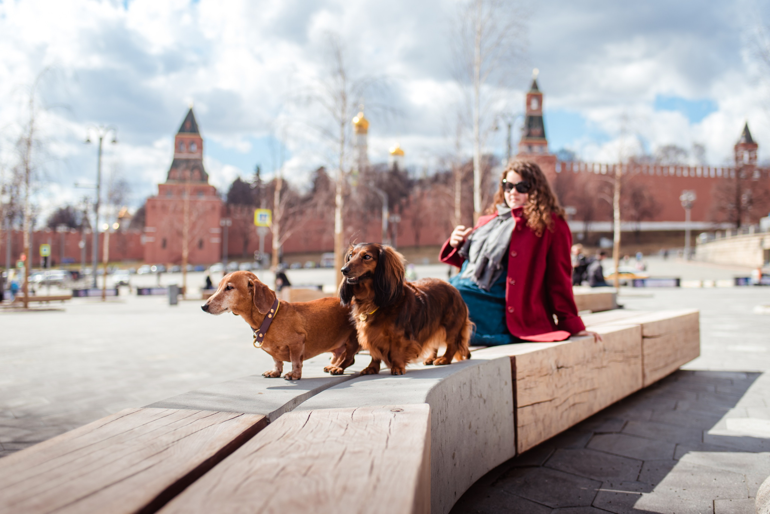 Таксы на Красной площади. Семейный Фотограф в Москве Ирина Хохлова