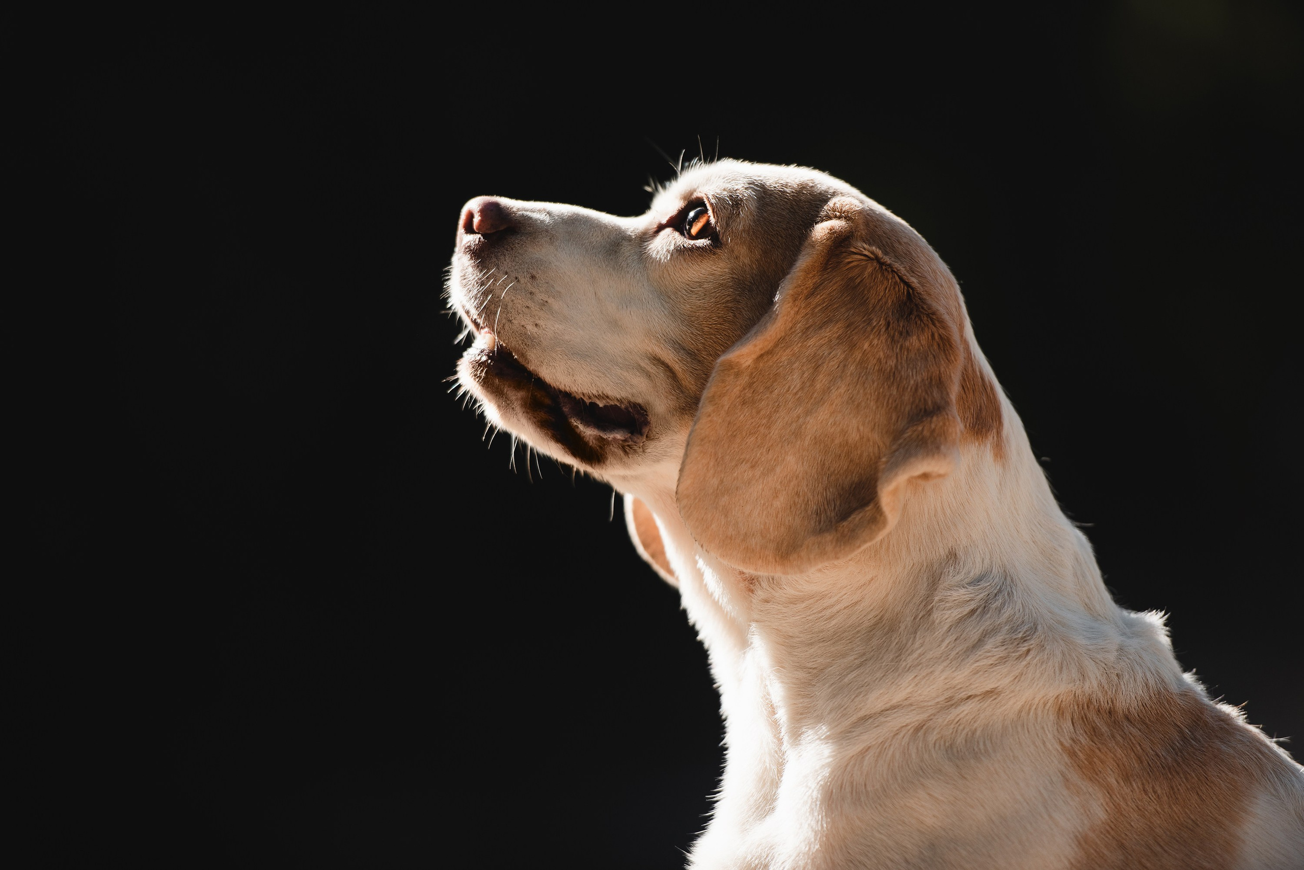 Оля и Ника. Семейный Фотограф в Москве Ирина Хохлова
