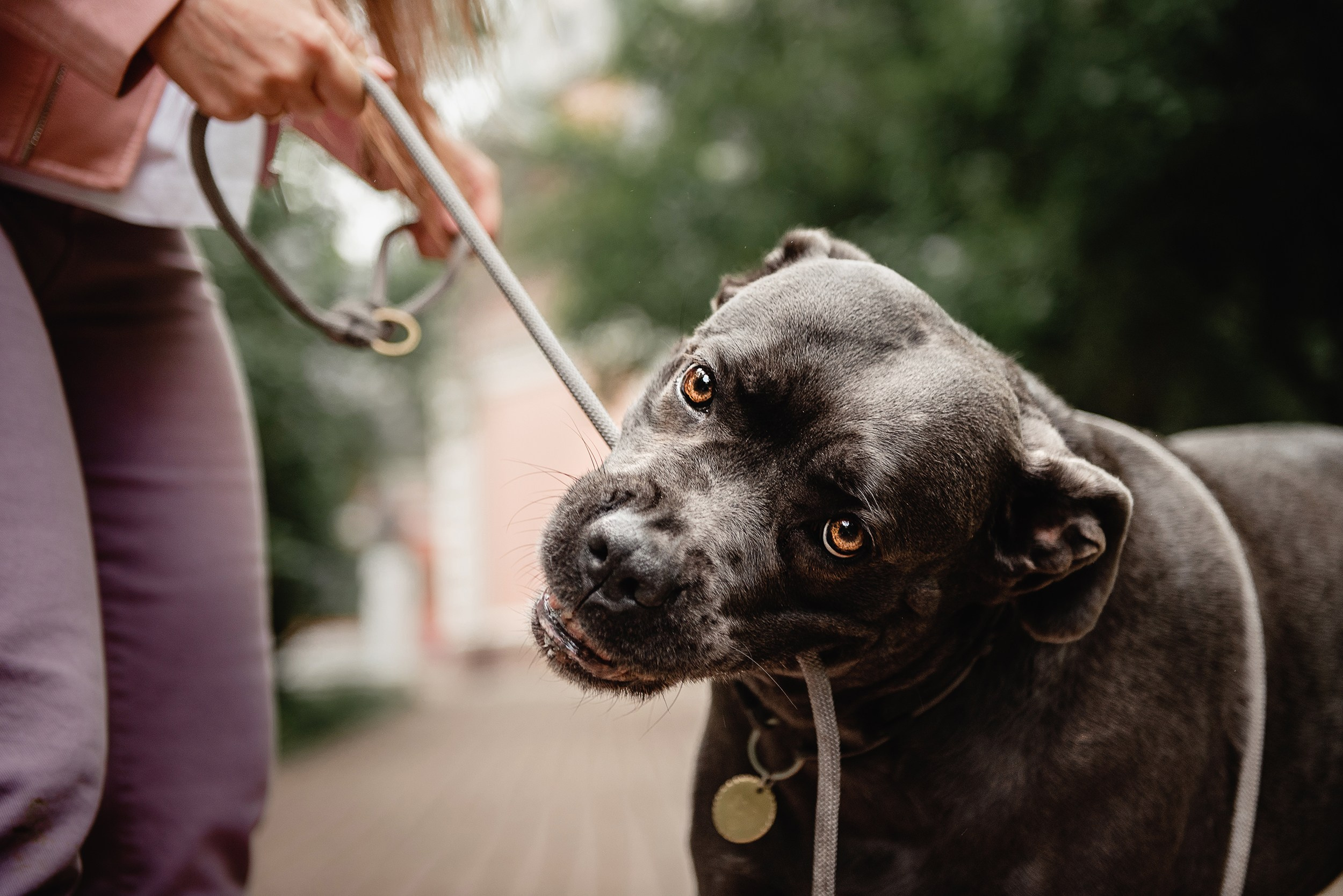 Кристина и Тея. Семейный Фотограф в Москве Ирина Хохлова