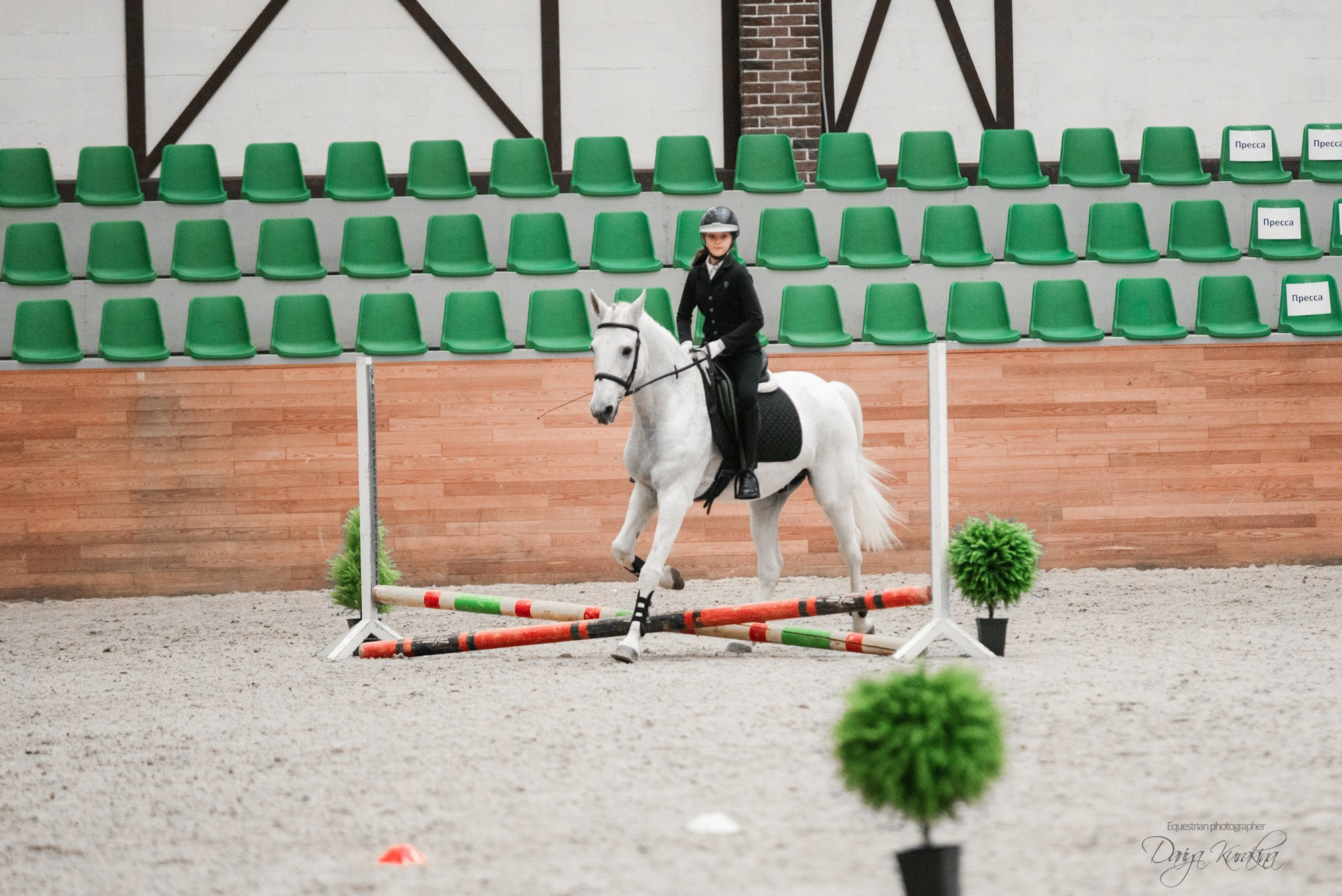 8-я международная выставка Конная Россия. Конный фотограф Куракина Дарья • Фотосессии с лошадьми