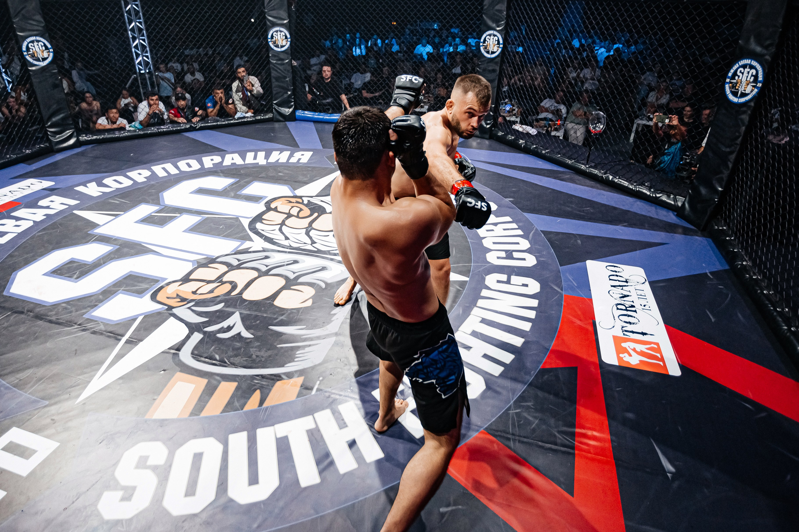 SFC III турнир по боям ММА. Аминов Руслан | Фотограф