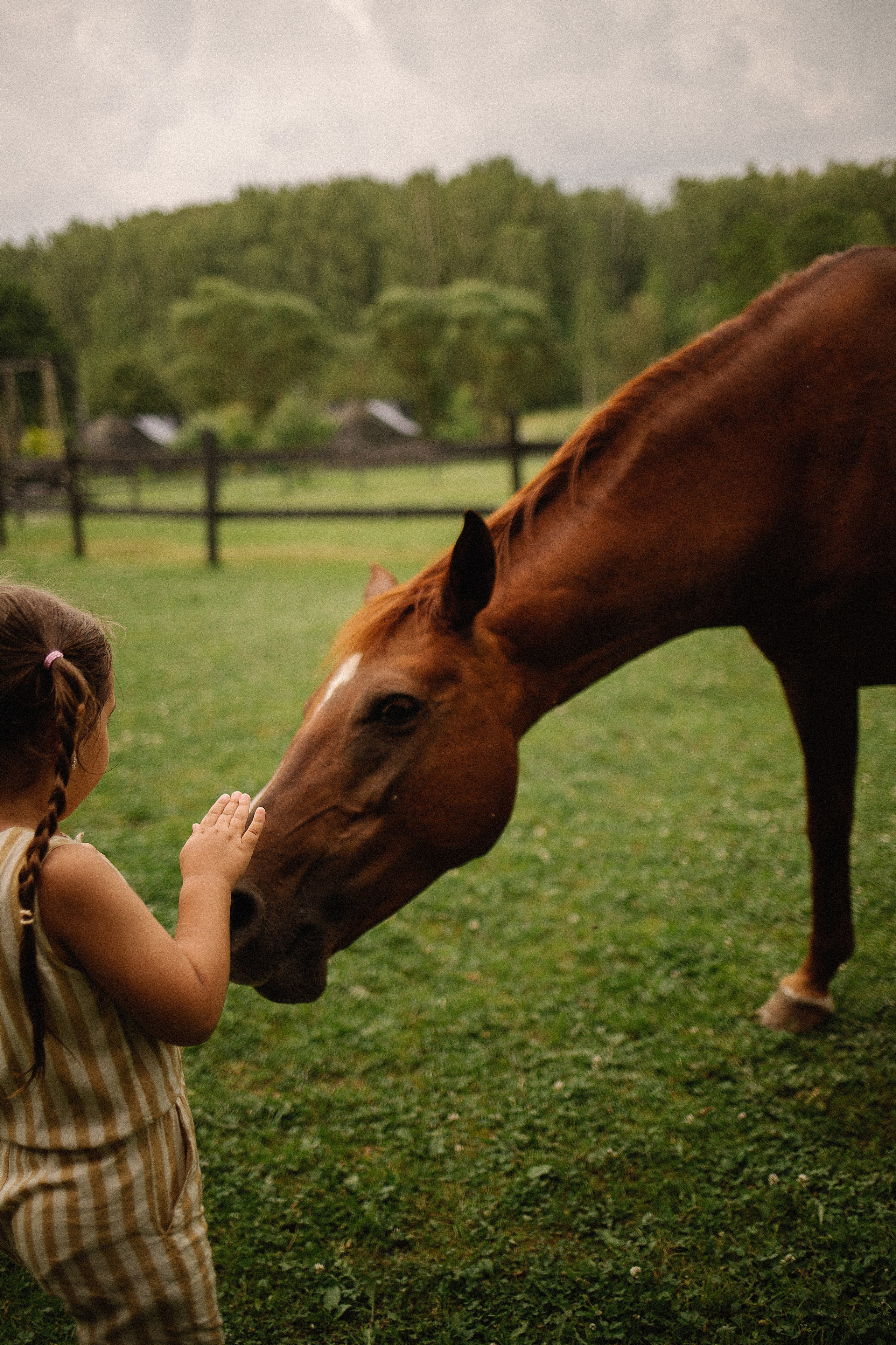 Семейный фотограф Юлия Клишина