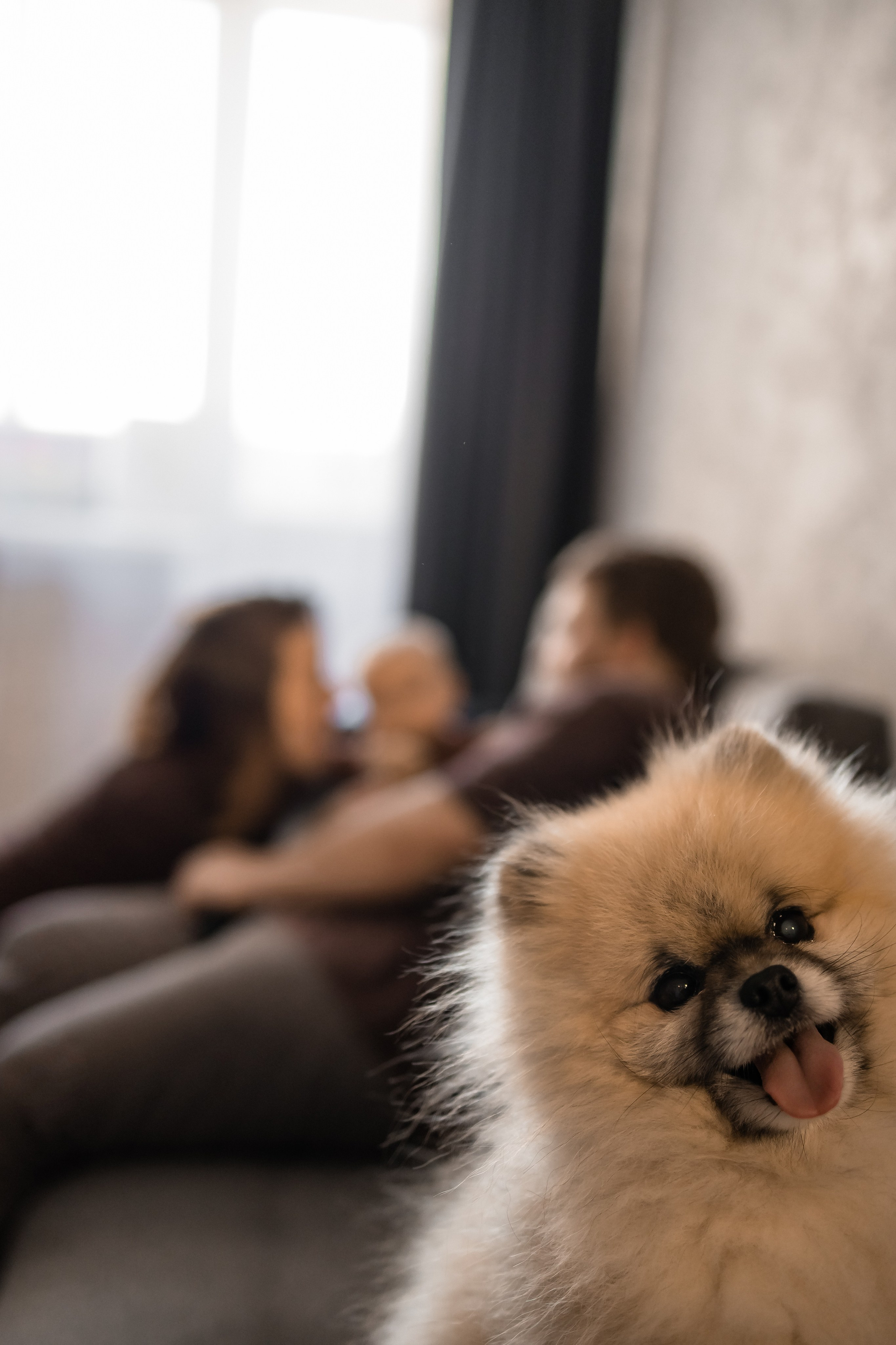 Домашняя фотосессия. Семейный и детский фотограф в Самаре Наталия Панафидина