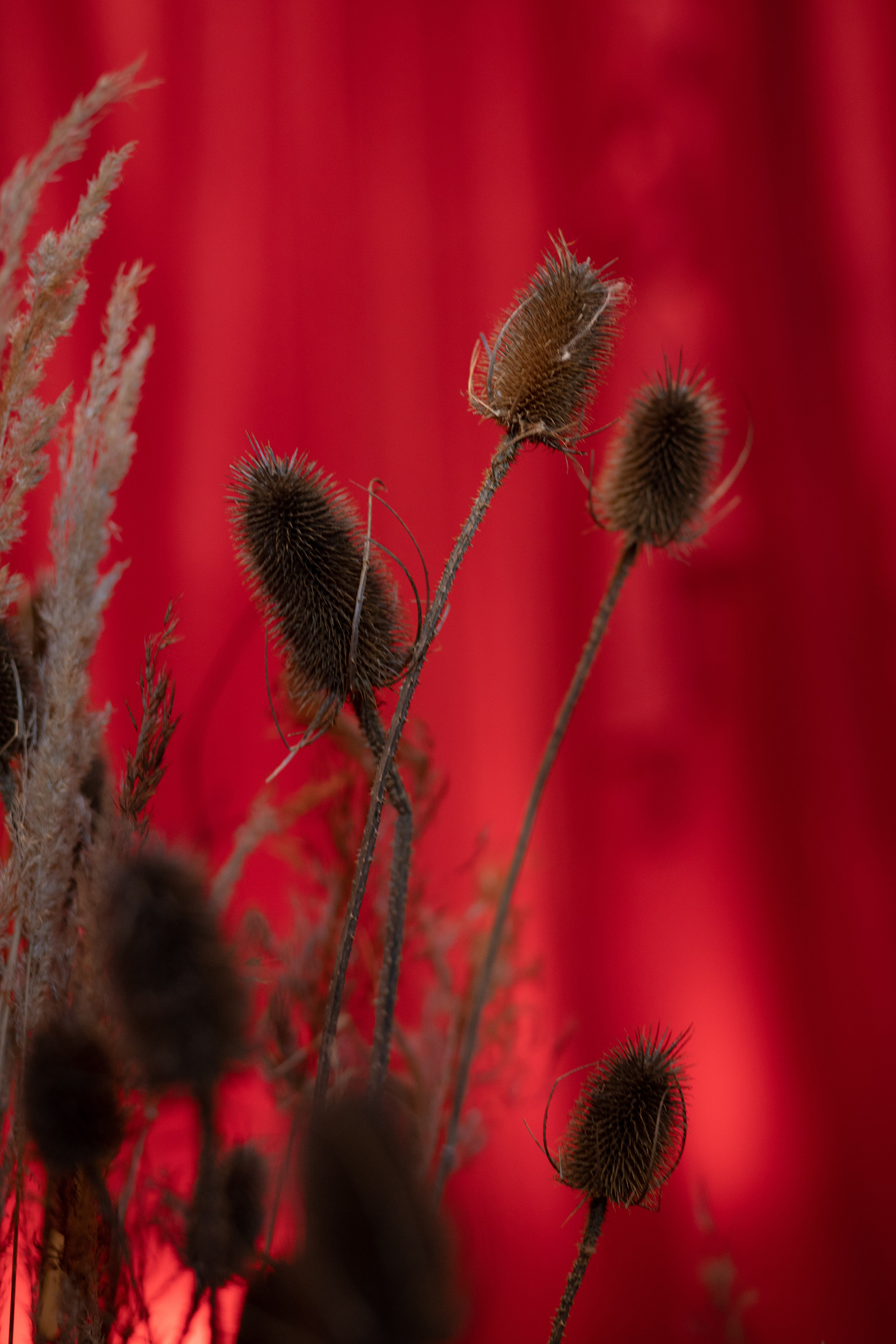 Новогодний корпоратив в фольклорном стиле. Особняк Лемана. Оформление свадеб, декор свадеб Вера Маркова, Москва