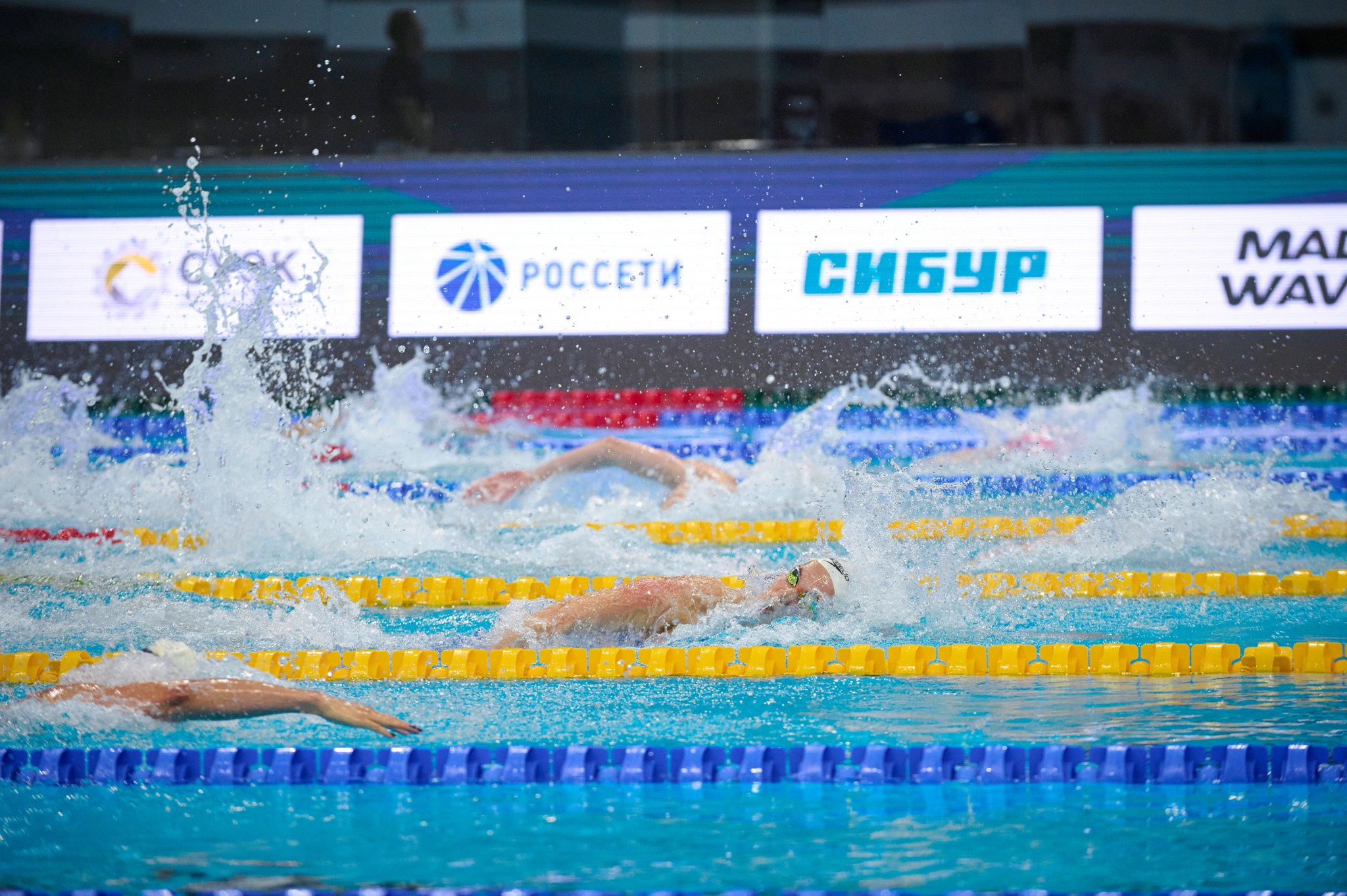 Кубок России по плаванию 2024 г. Екатеринбург. Мезенцев Евгений фотограф